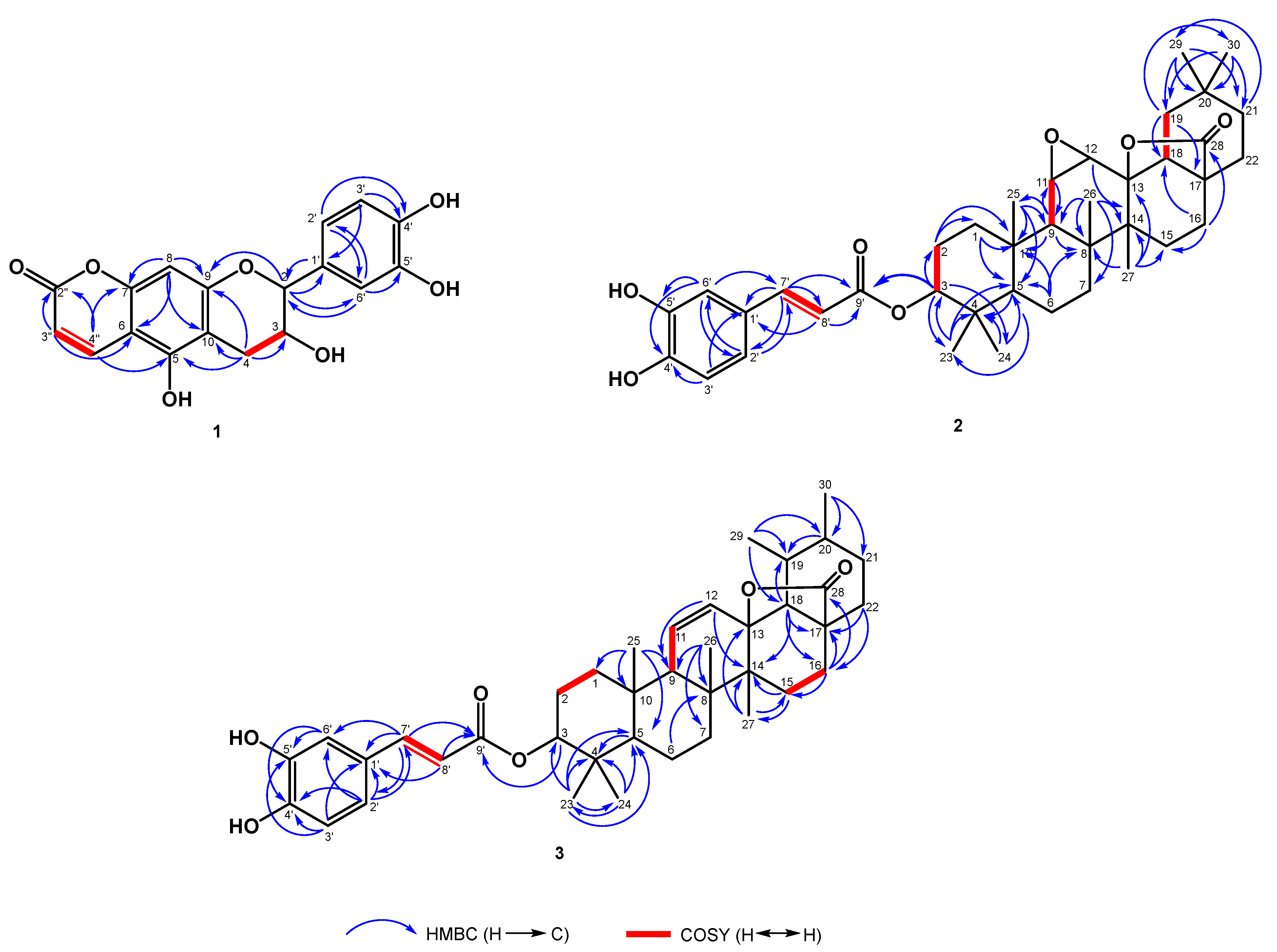 Plants 12 02943 g003 Plants 12 02943 g003
