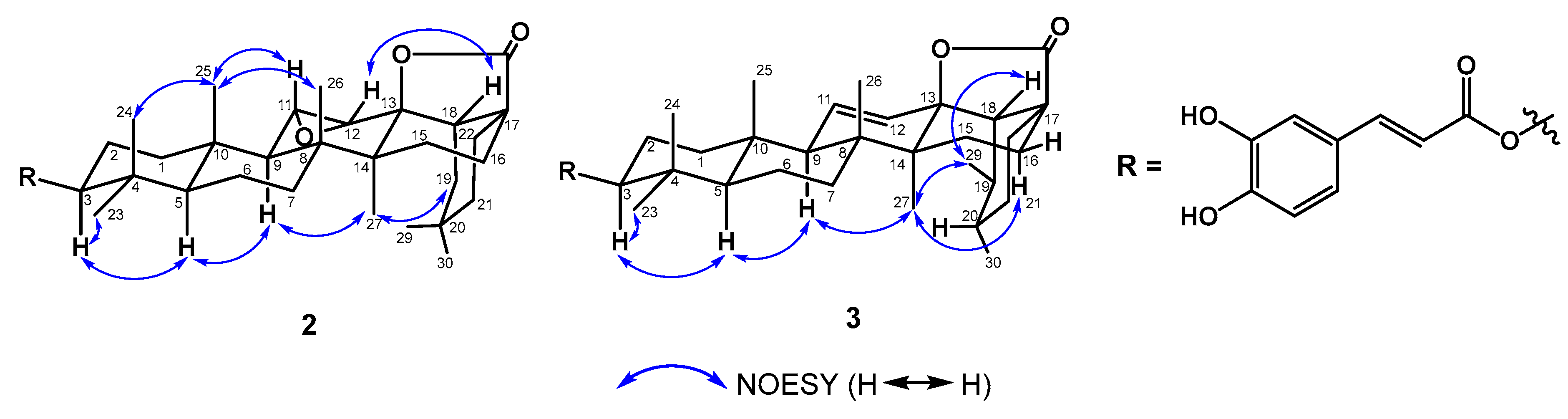Plants 12 02943 g004 Plants 12 02943 g004