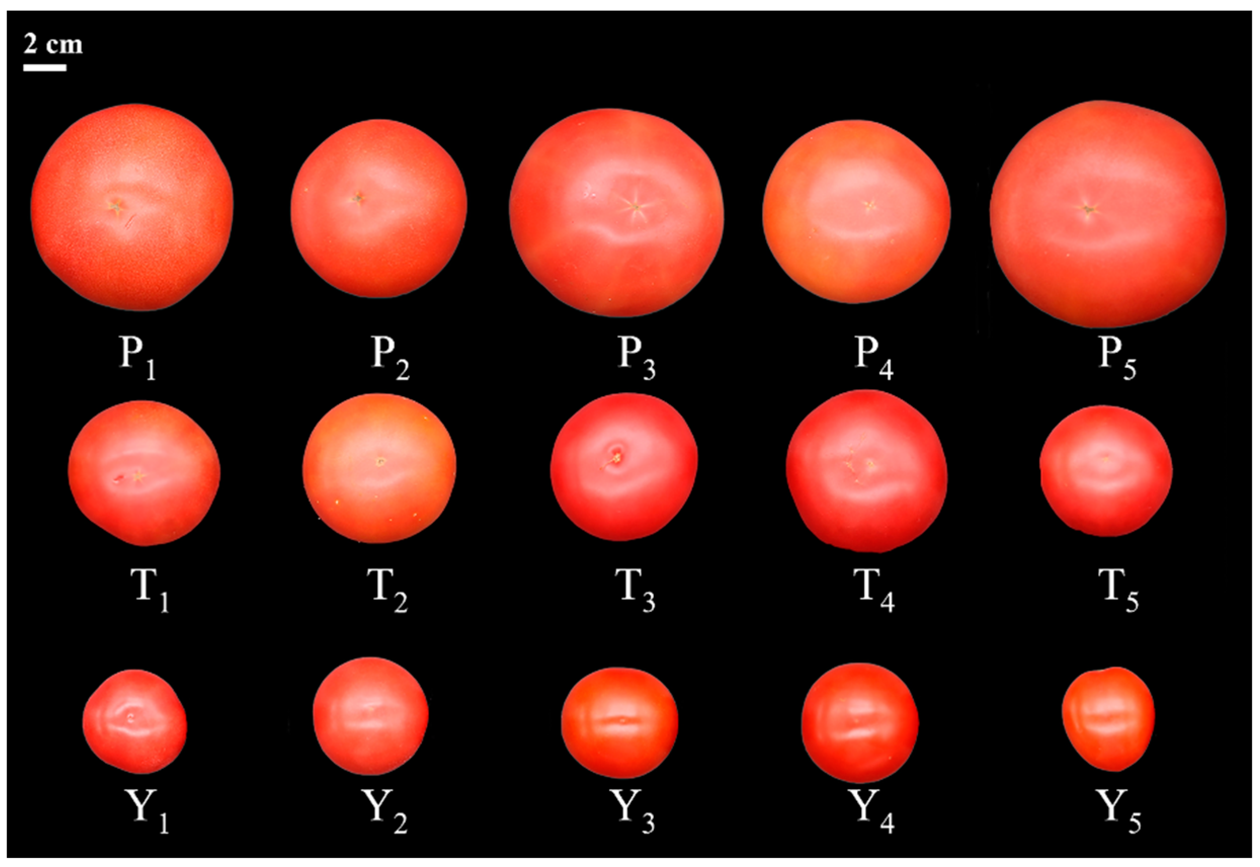 Plants 12 02947 g001 Plants 12 02947 g001