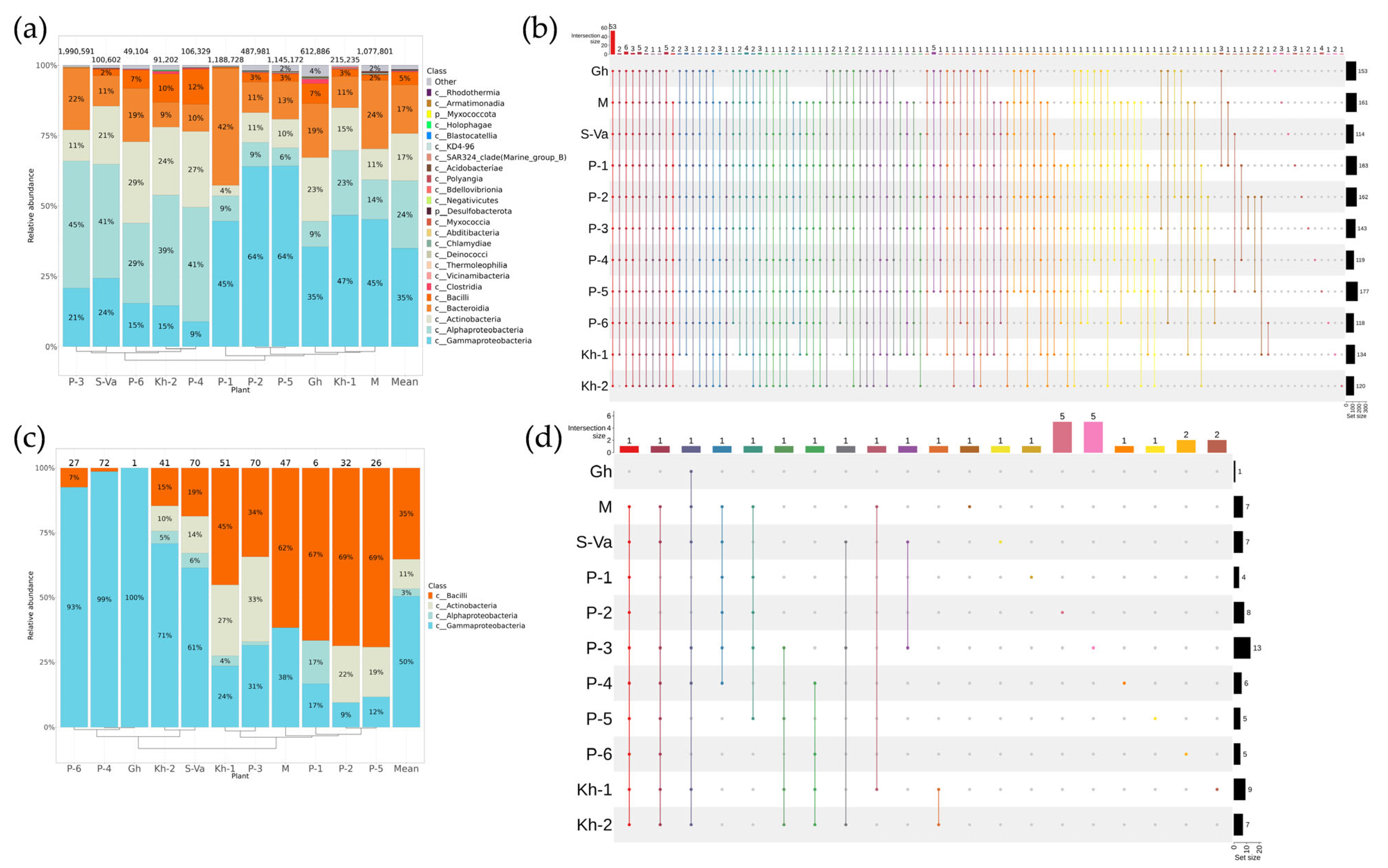 Plants 12 02952 g001