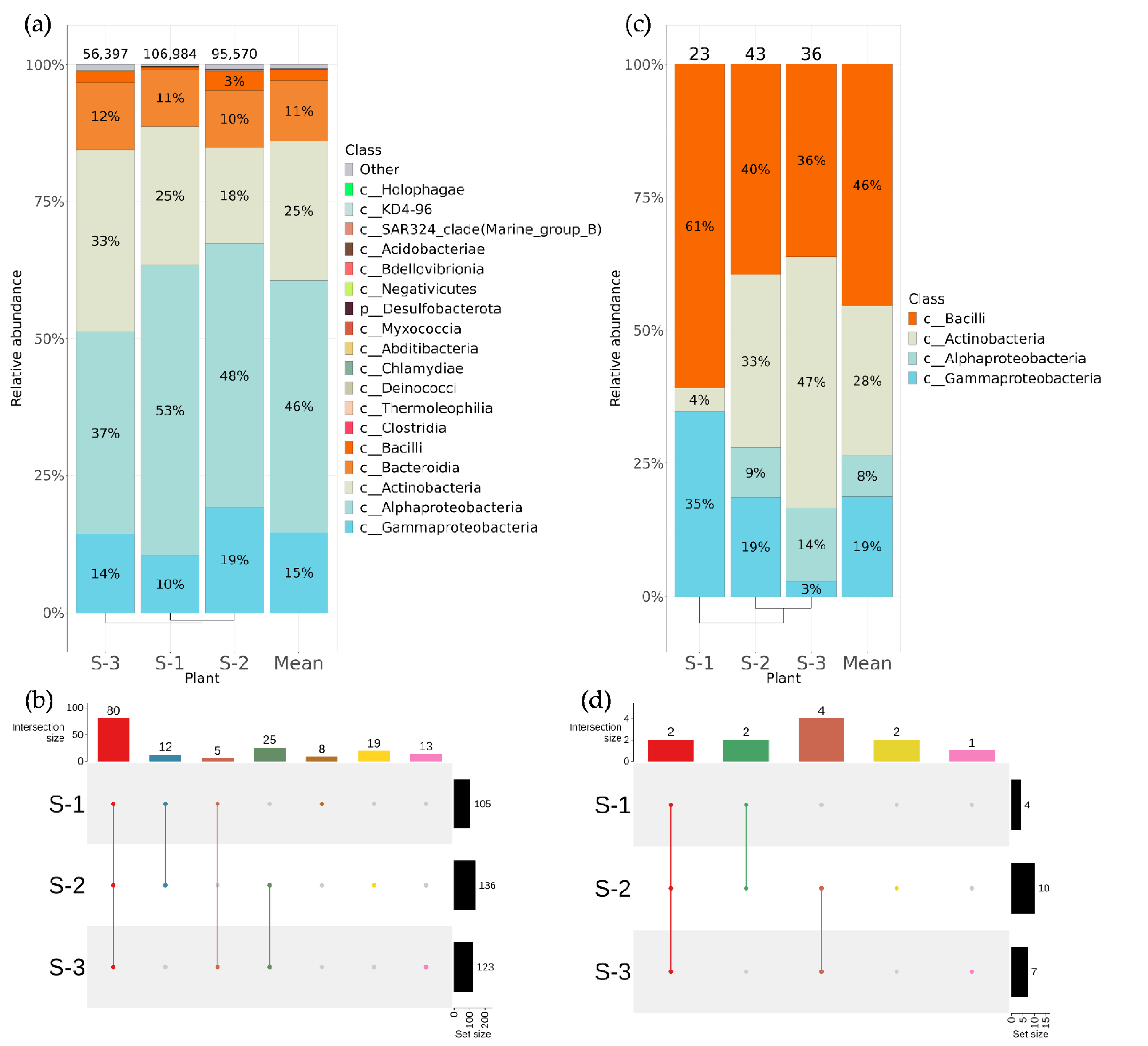 Plants 12 02952 g002