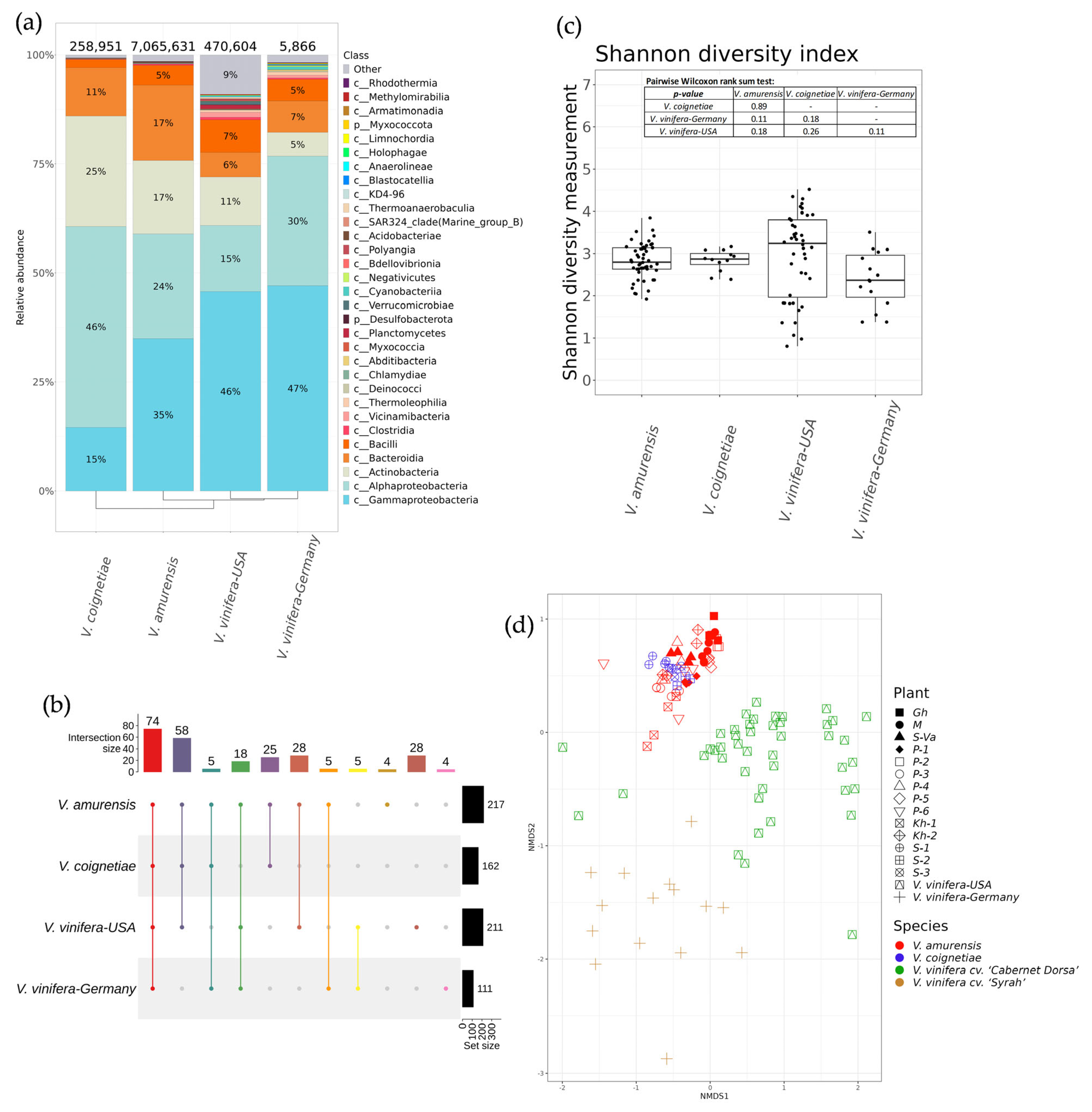 Plants 12 02952 g007