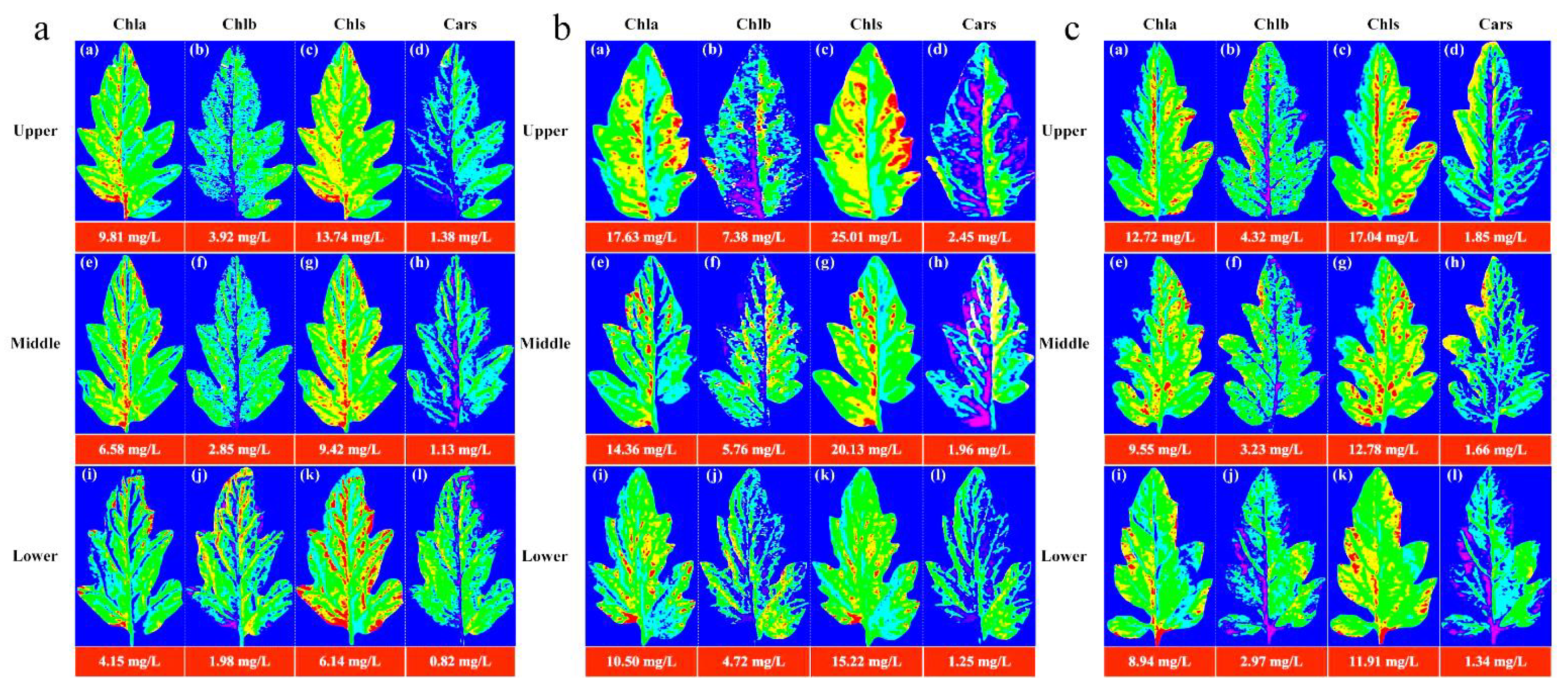 Plants 12 02956 g004