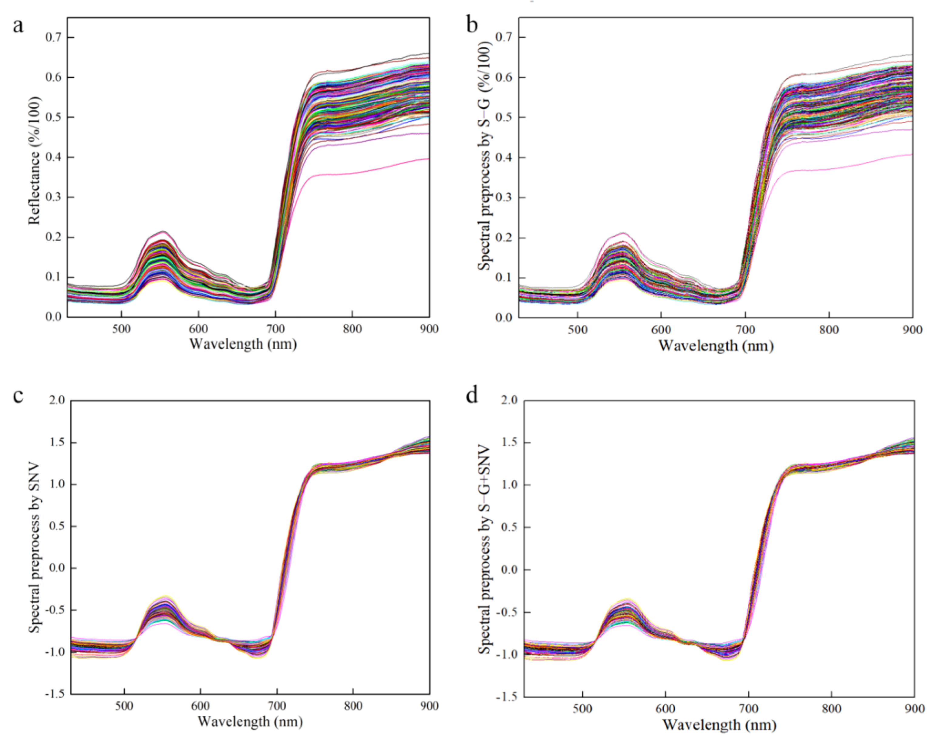 Plants 12 02956 g006
