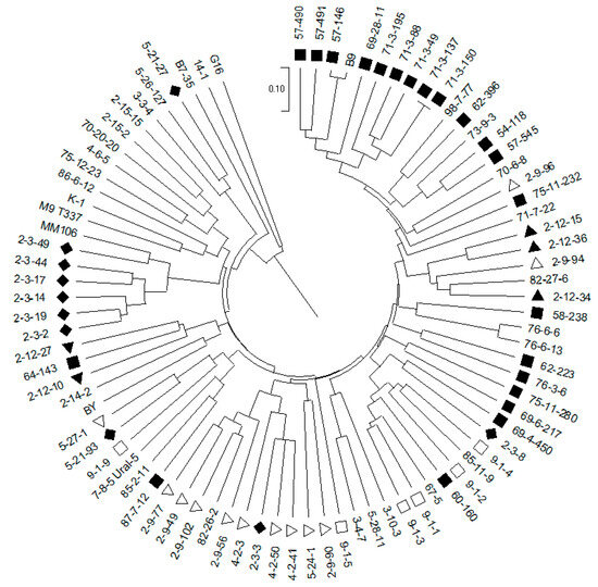 Plants | Free Full-Text | Genetic Diversity of Apple Clonal Rootstocks ...