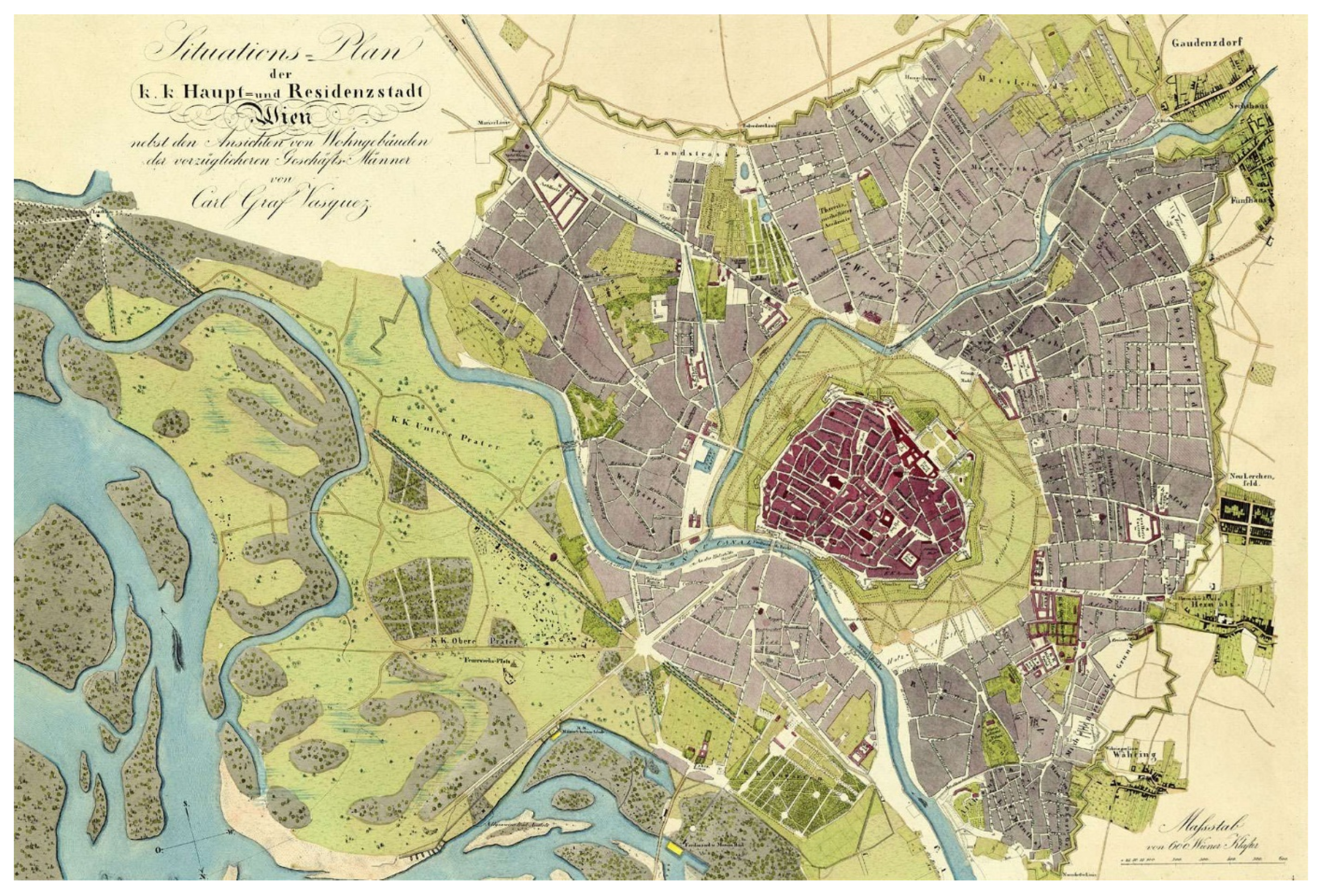 Plants 12 03002 g002