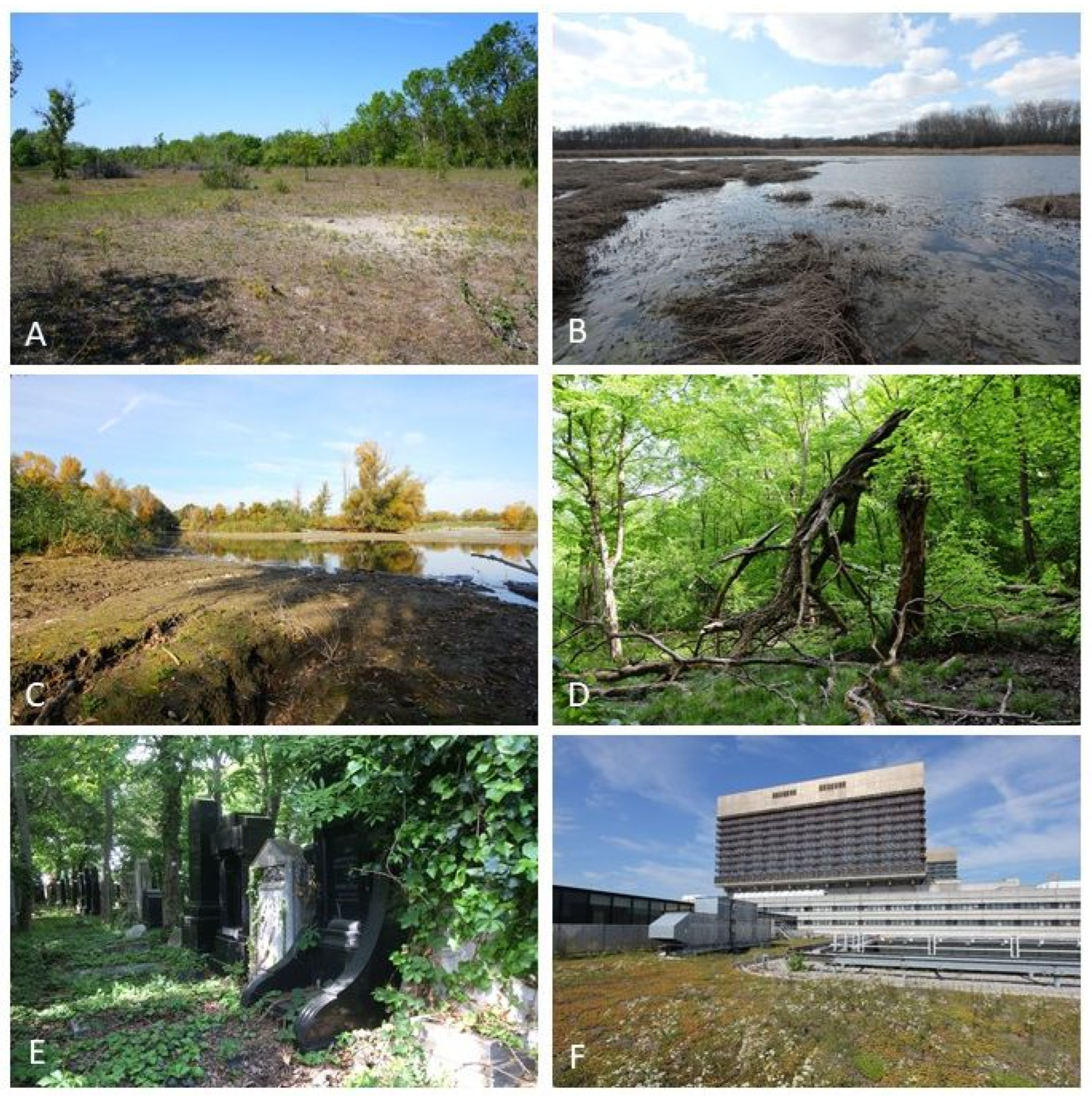 Plants 12 03002 g003