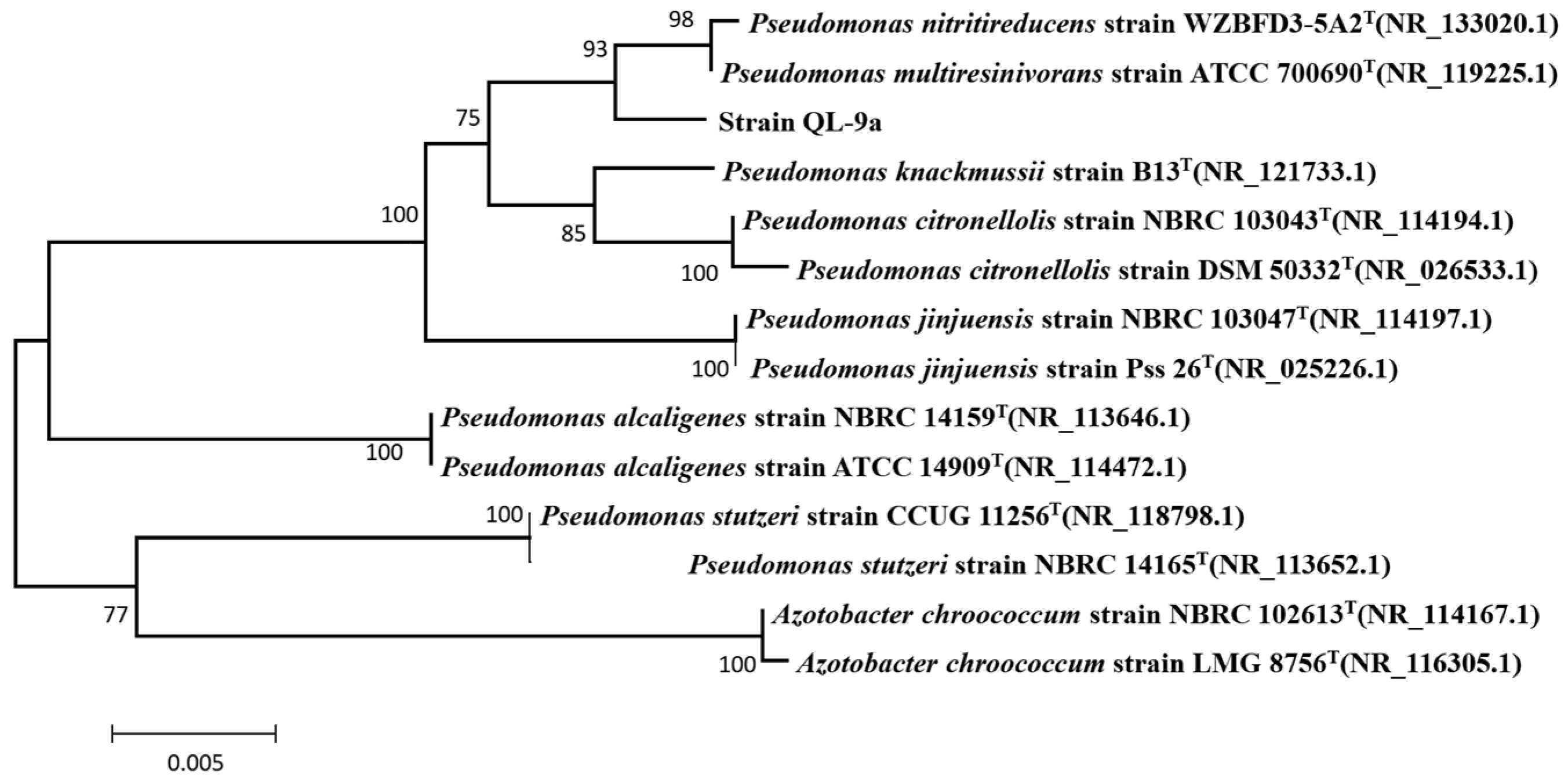 Plants 12 03037 g001
