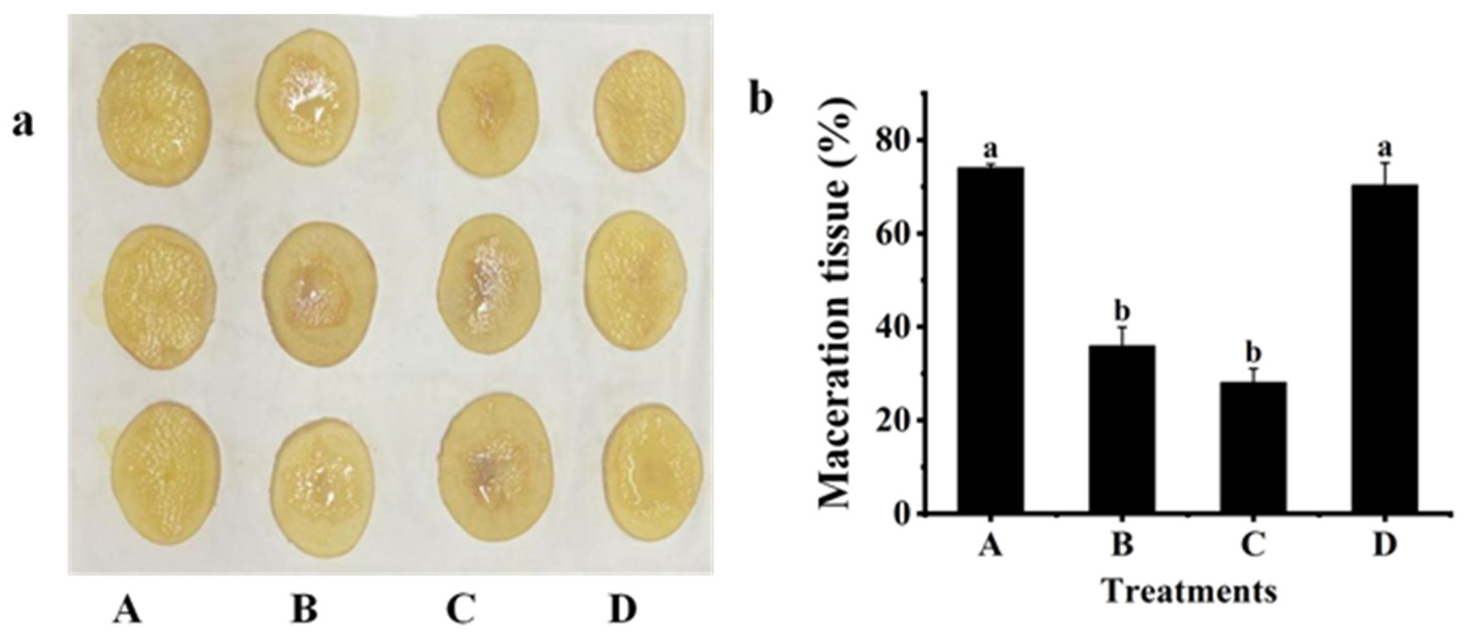 Plants 12 03037 g004