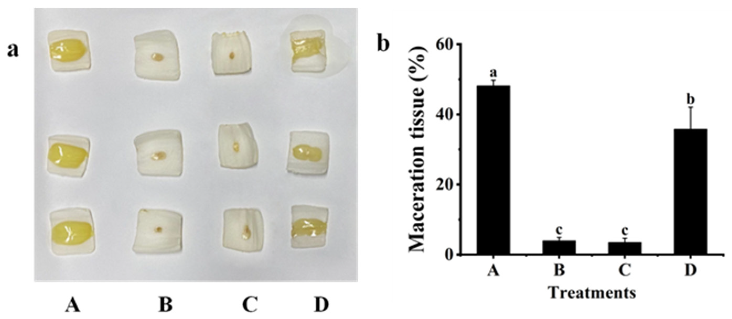 Plants 12 03037 g005