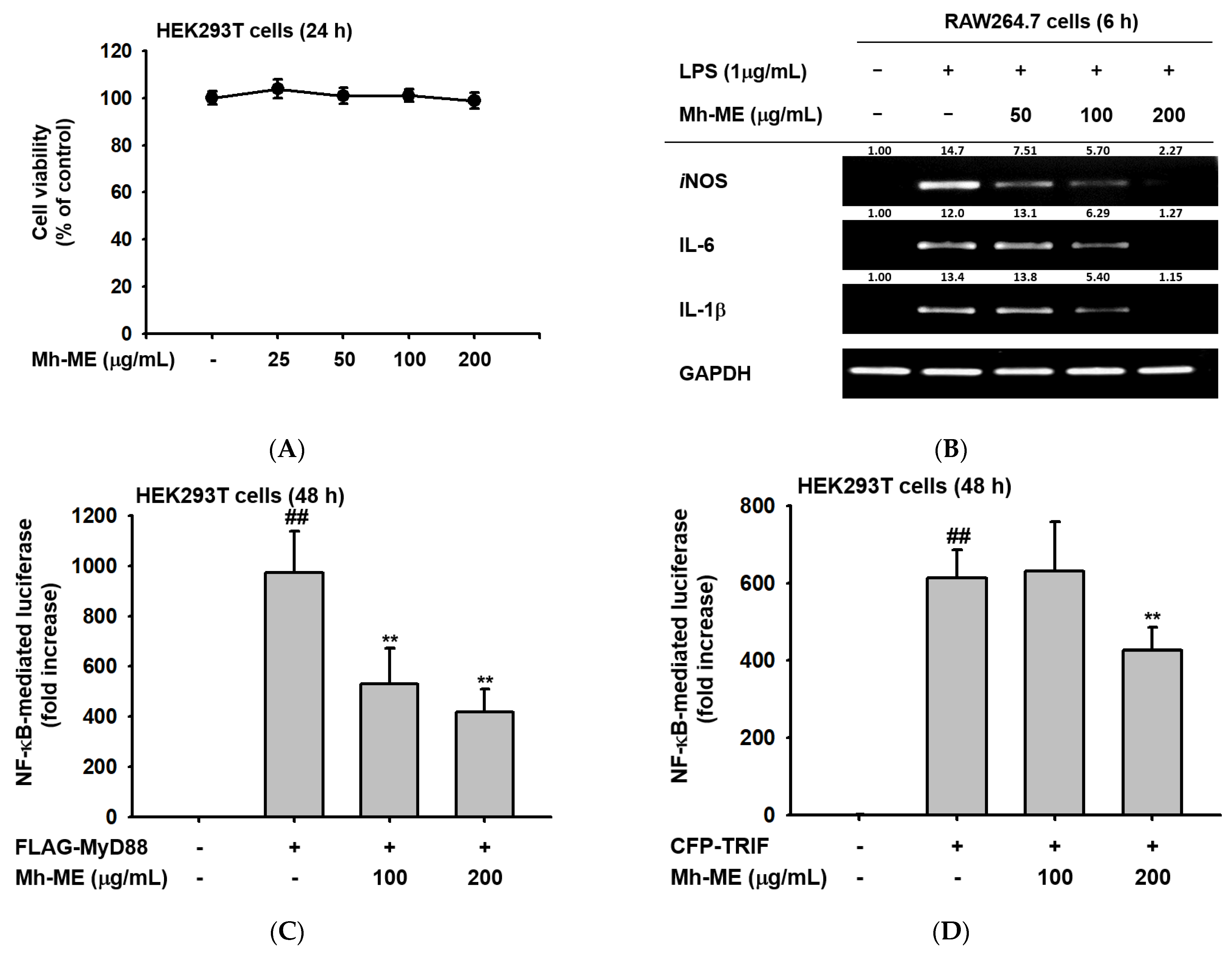 Plants 12 03044 g003 Plants 12 03044 g003