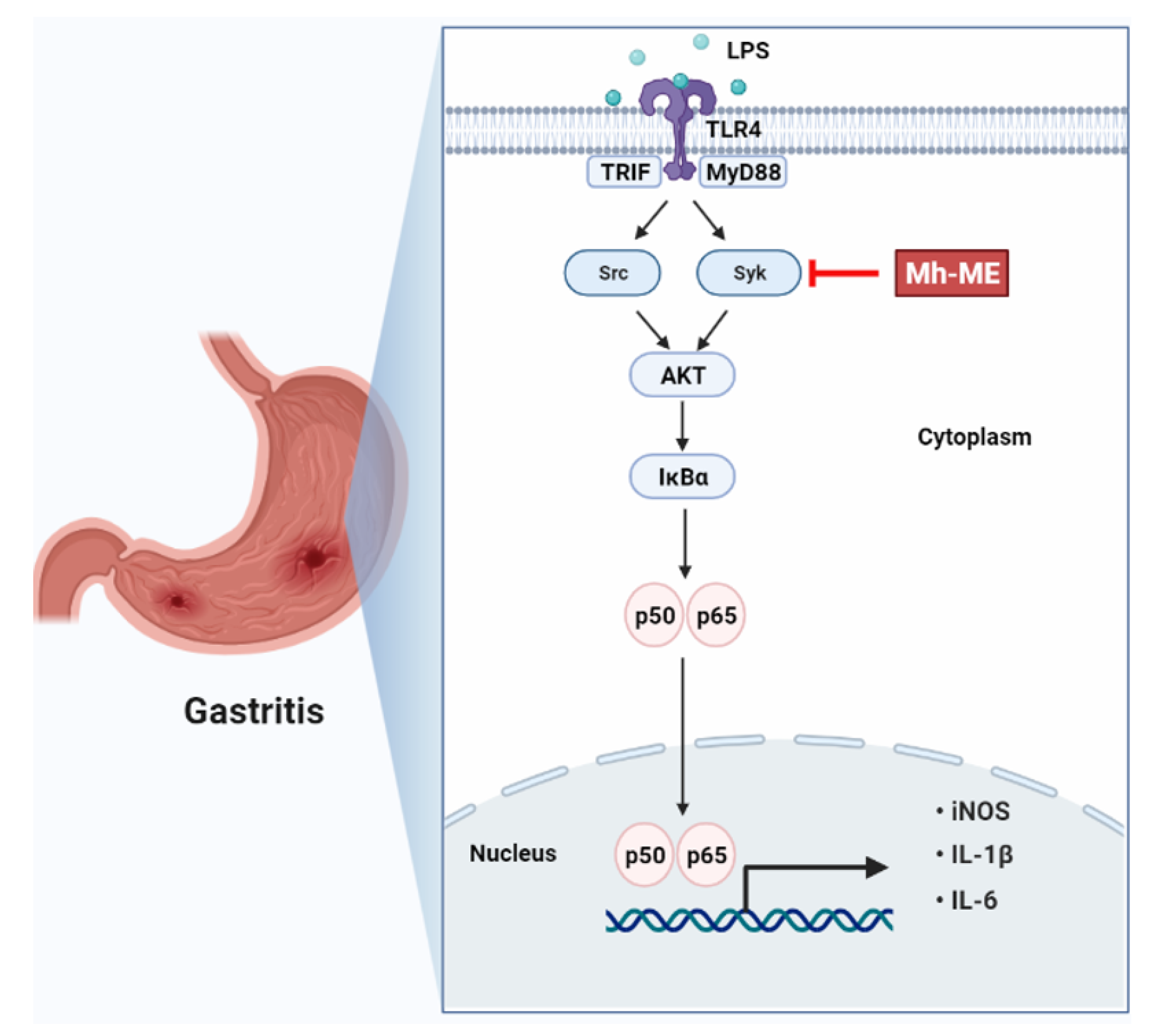 Plants 12 03044 g007 Plants 12 03044 g007