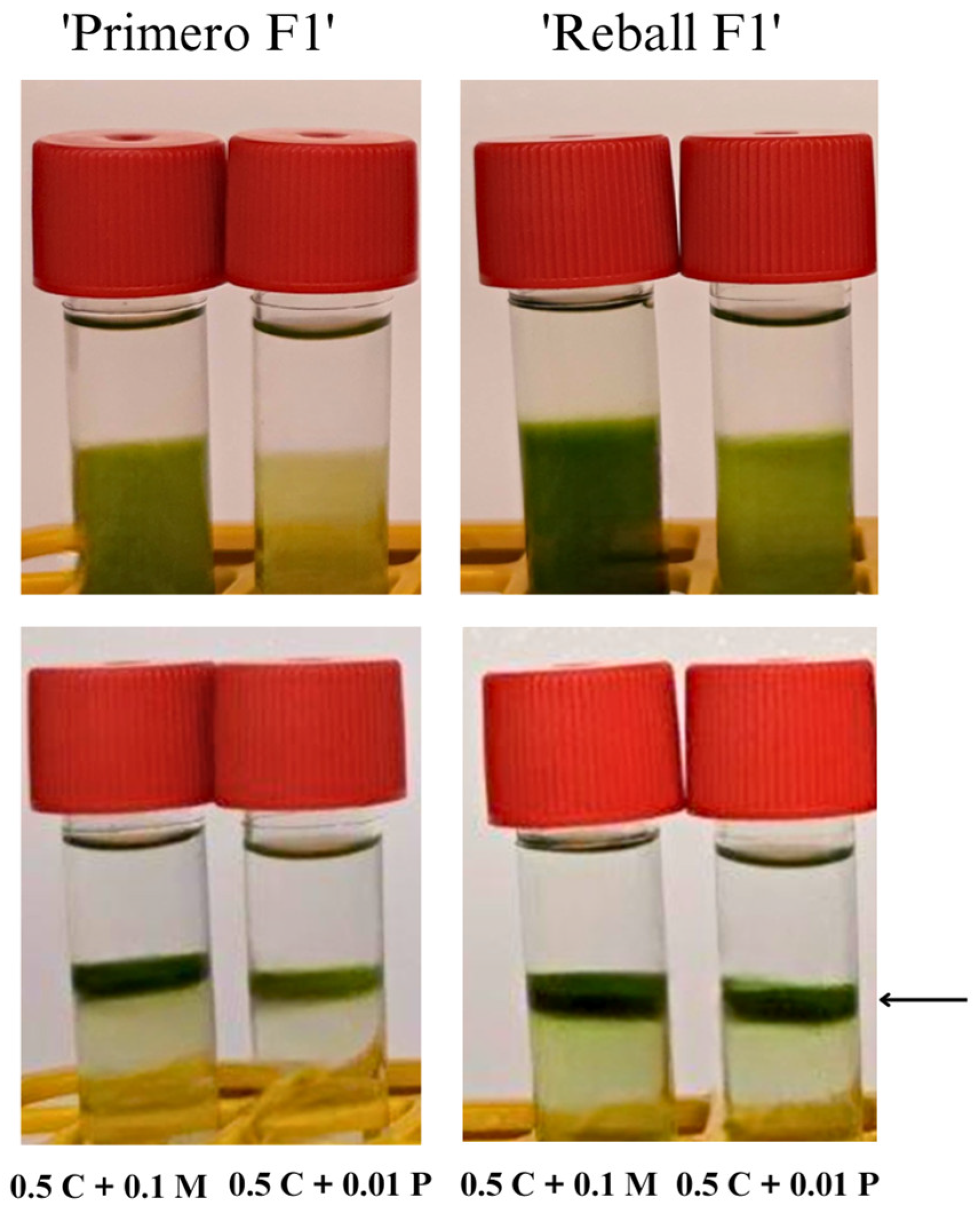 Plants 12 03074 g002 Plants 12 03074 g002