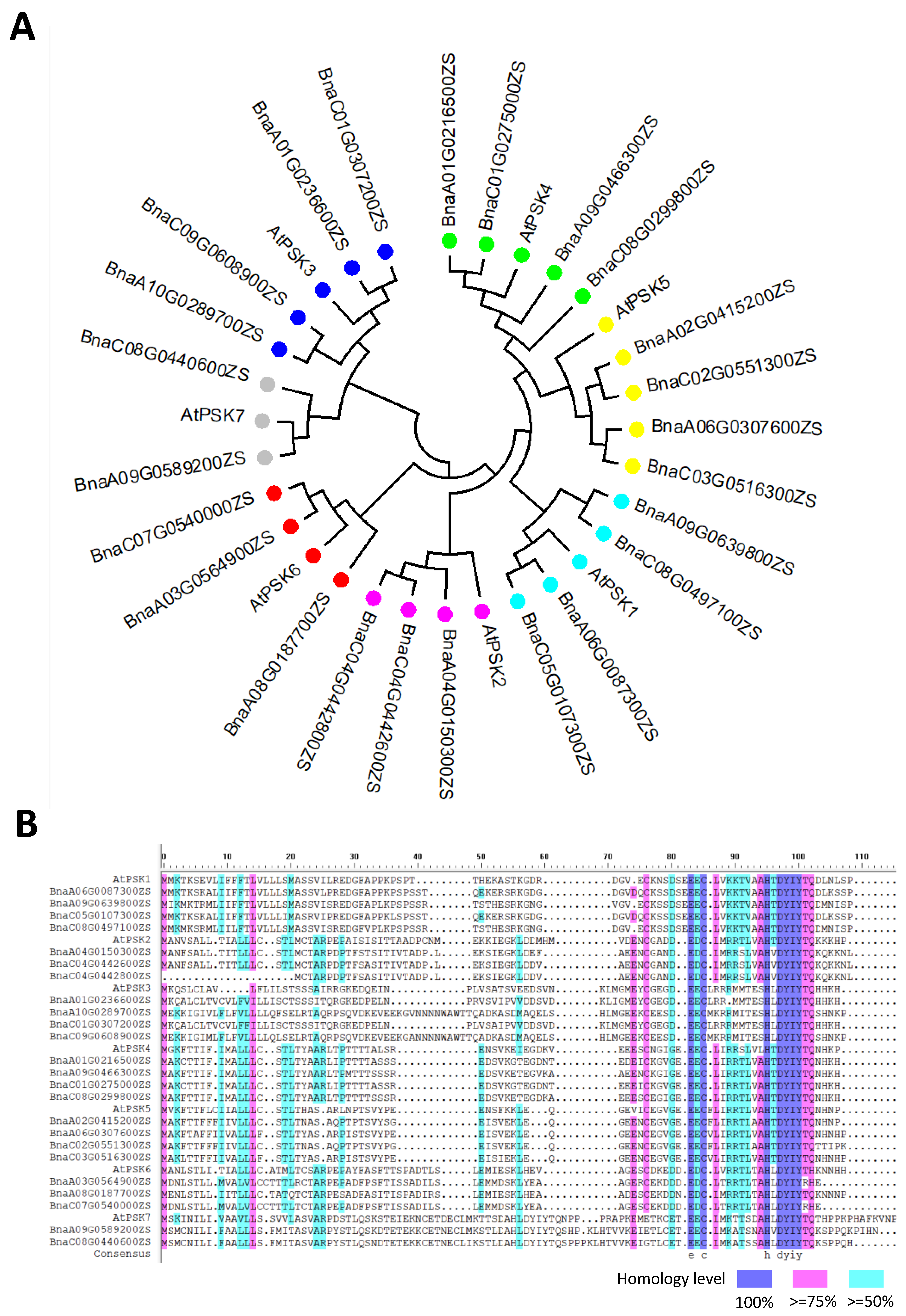 Plants 12 03075 g002