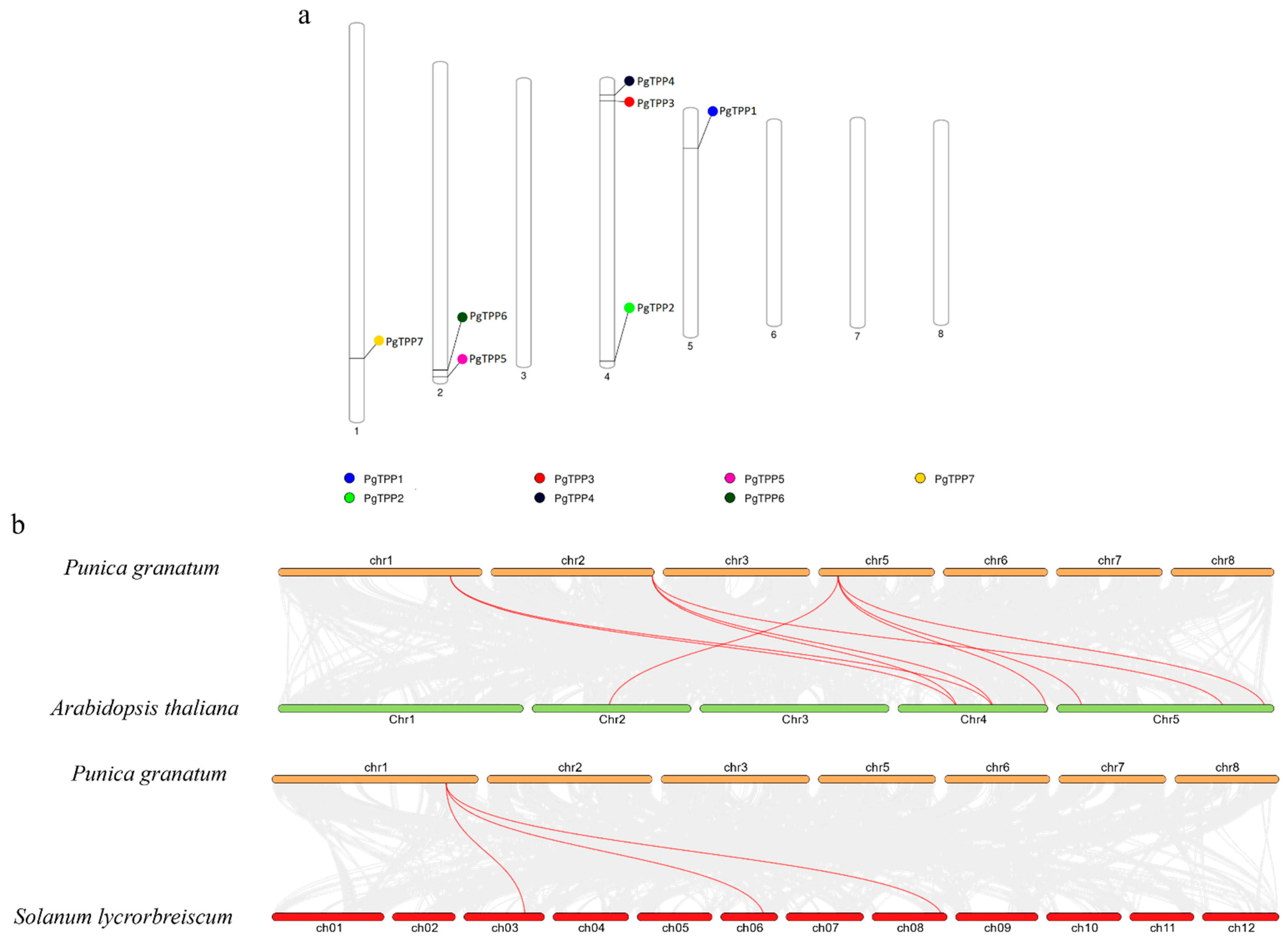 Plants 12 03076 g003