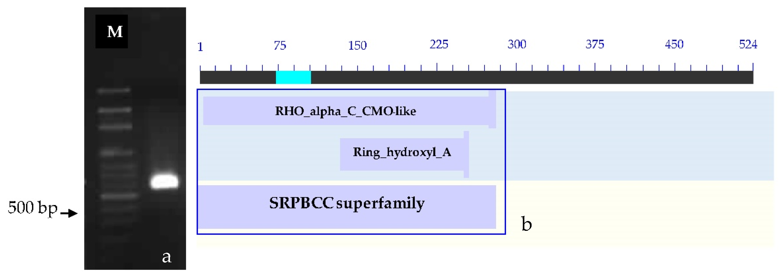 Plants 12 03089 g003 Plants 12 03089 g003