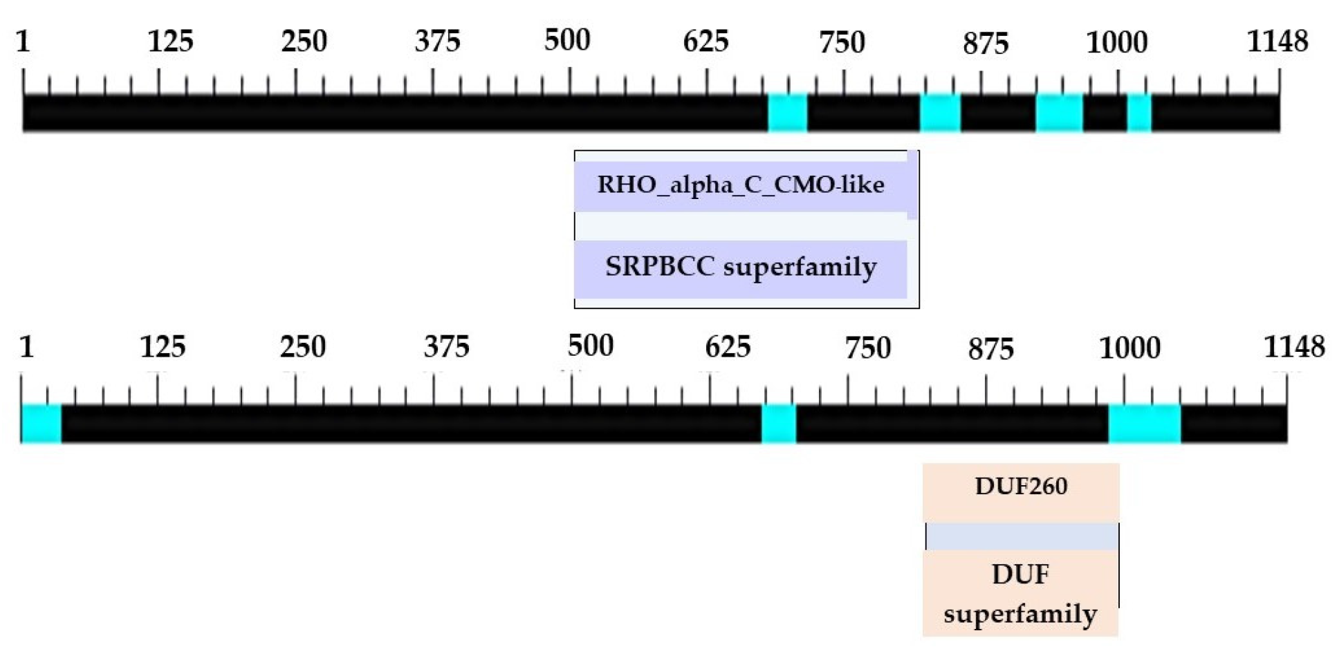 Plants 12 03089 g005 Plants 12 03089 g005