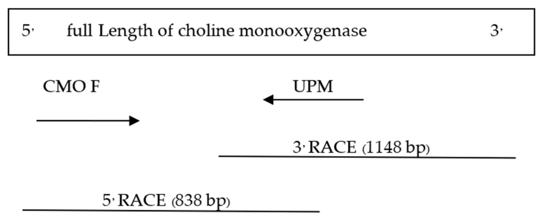Plants 12 03089 g006 Plants 12 03089 g006