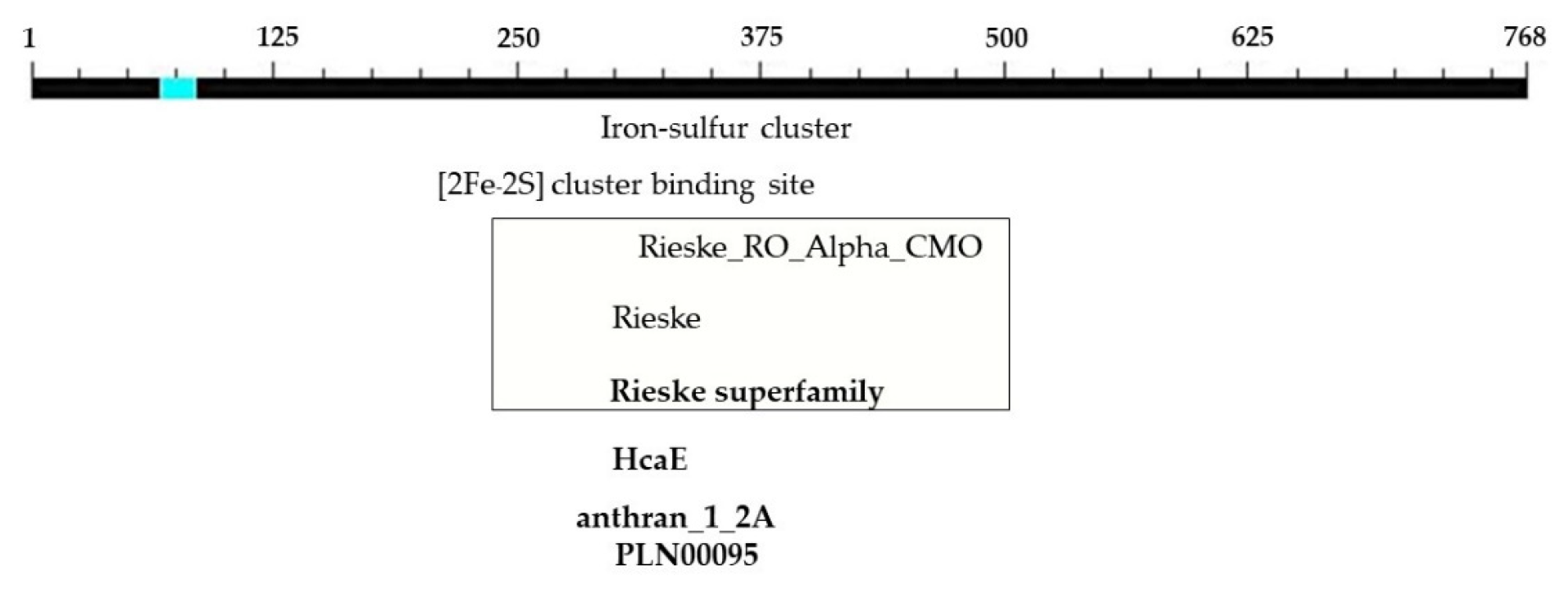 Plants 12 03089 g007 Plants 12 03089 g007