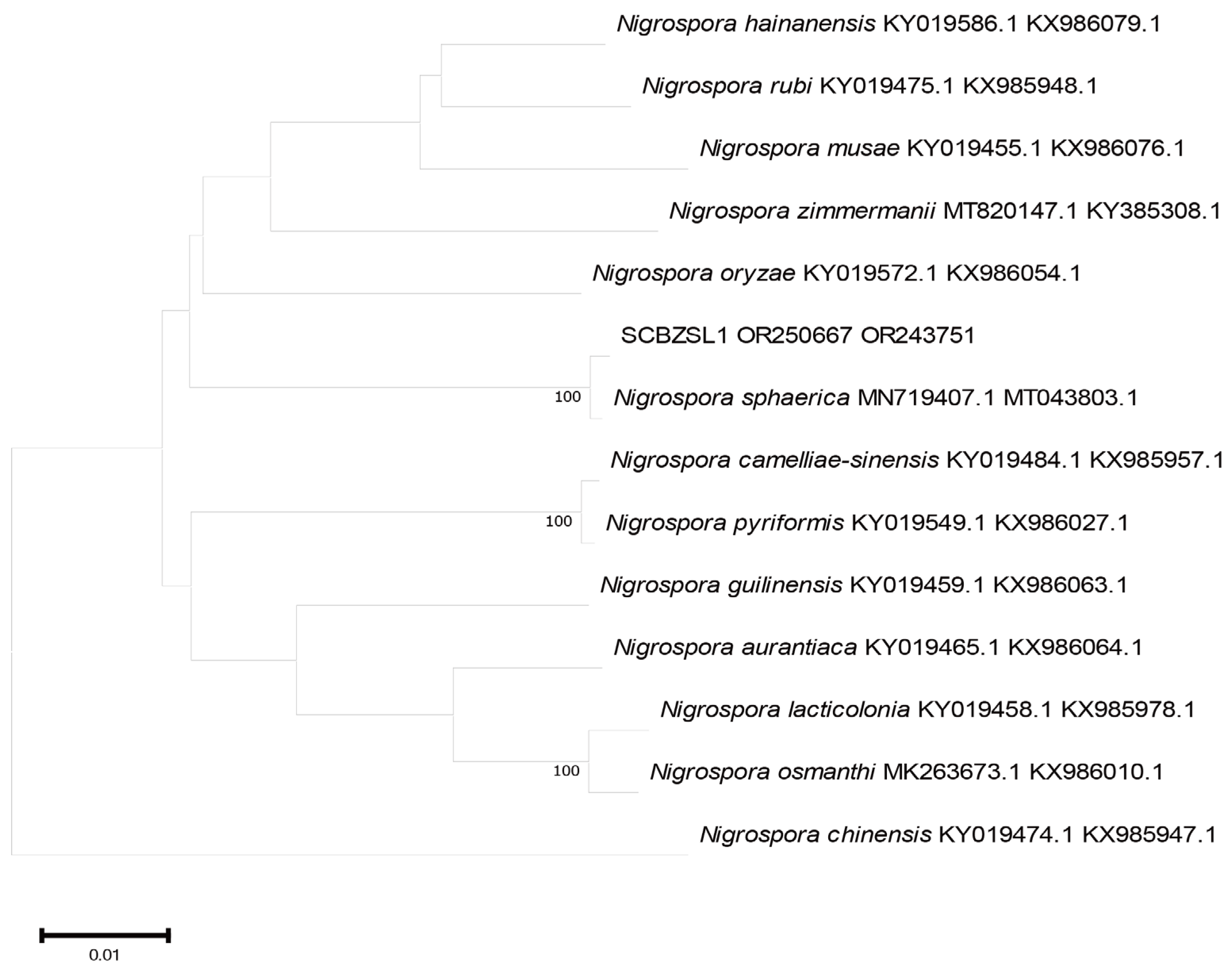 Plants 12 03091 g005