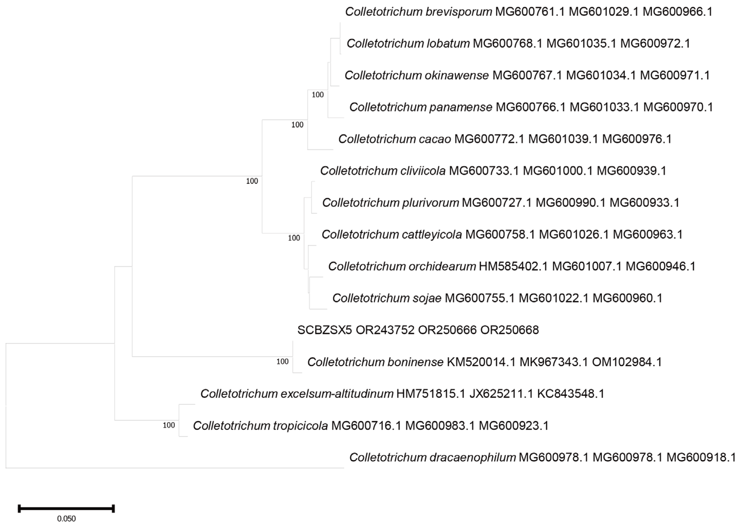 Plants 12 03091 g006