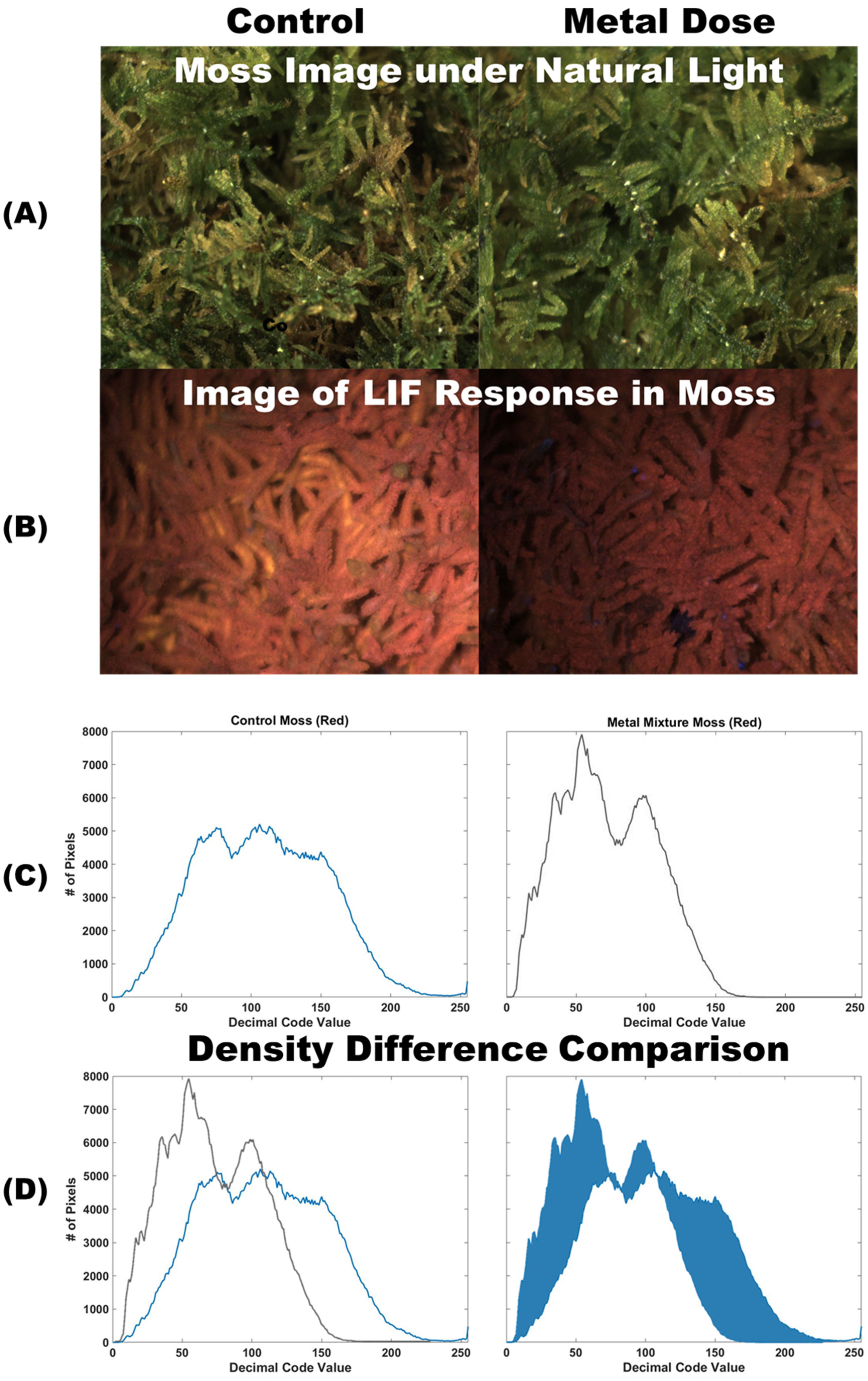 Plants 12 03124 g001 Plants 12 03124 g001