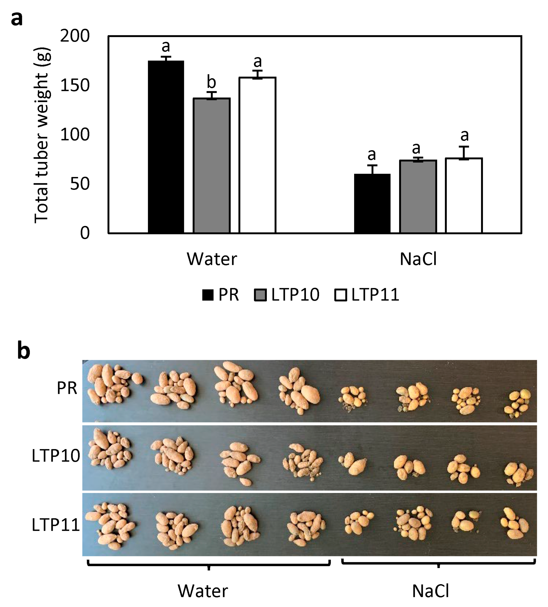 Plants 12 03129 g007