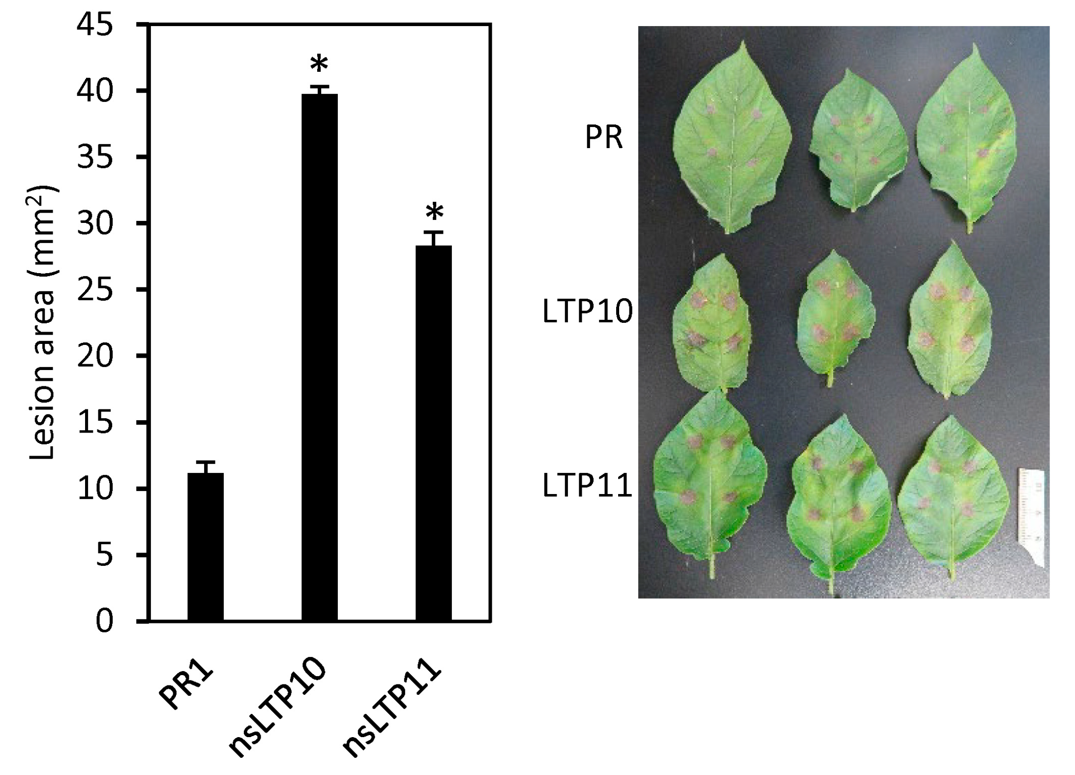 Plants 12 03129 g008