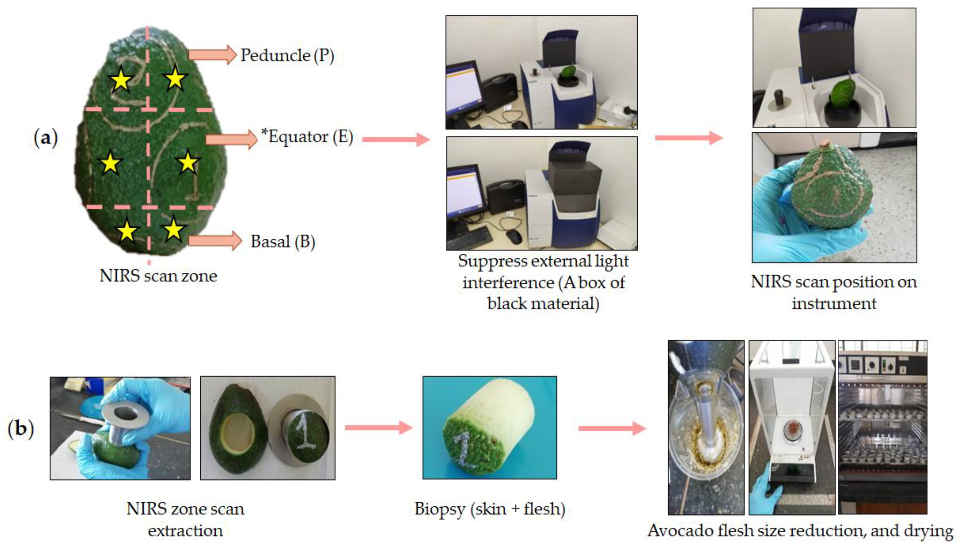 Plants 12 03135 g008