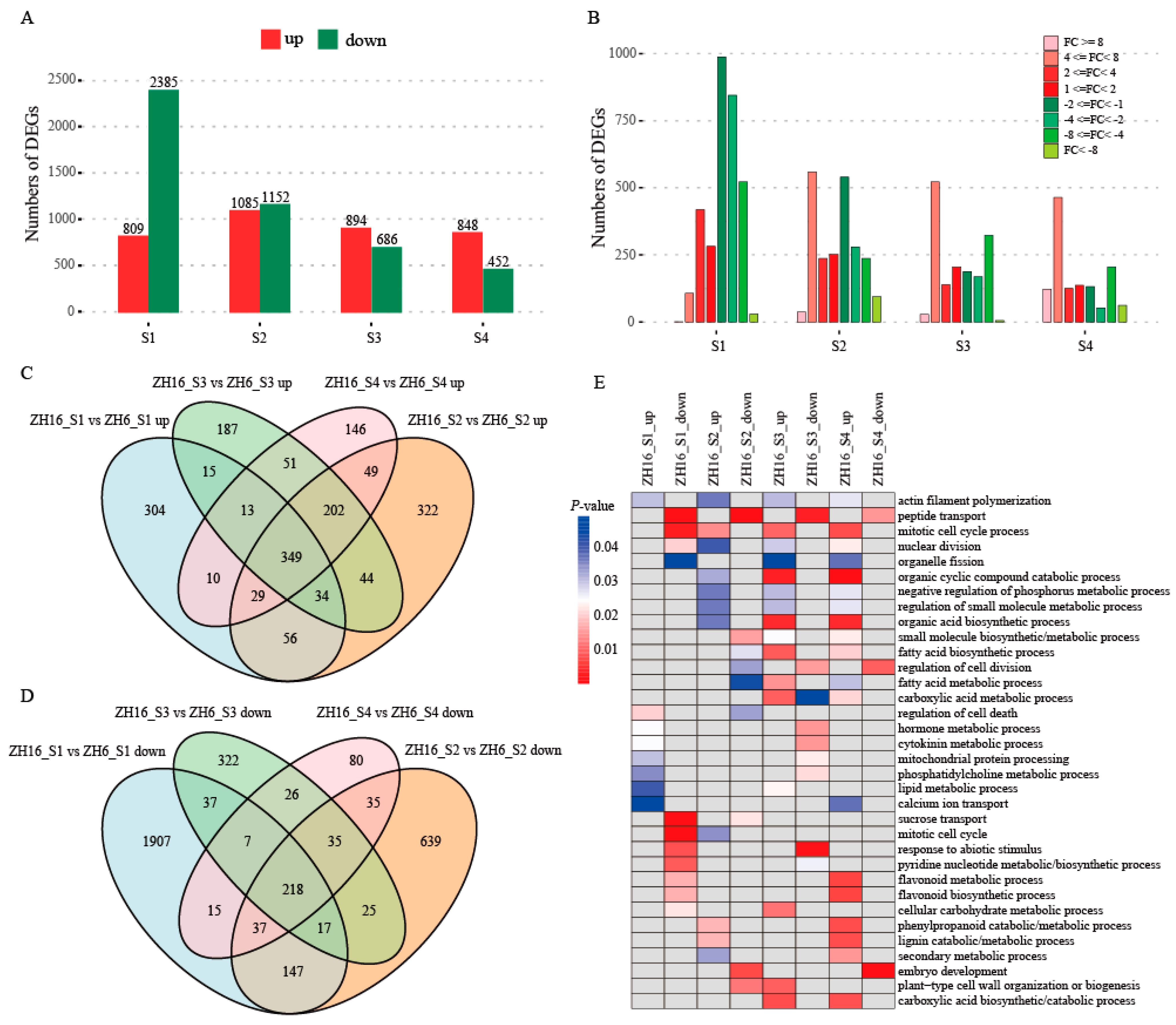 Plants 12 03144 g004