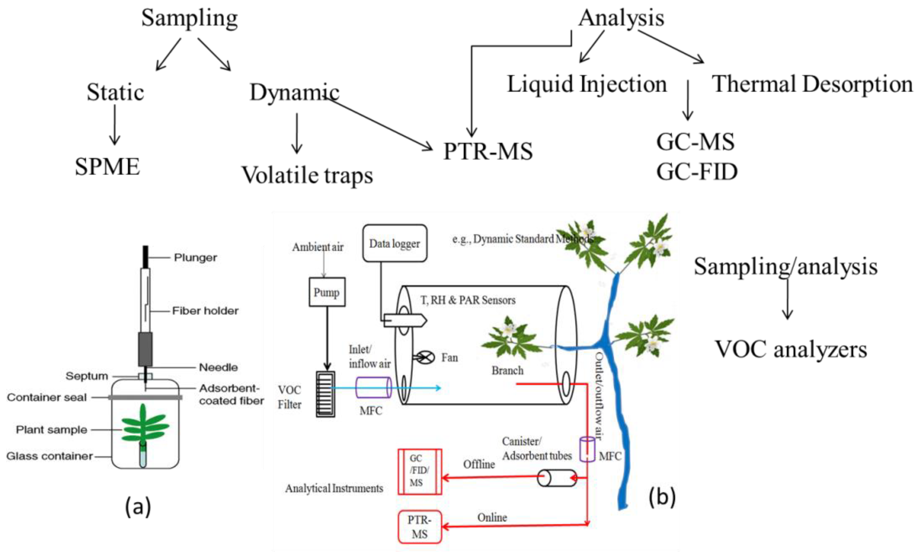 Plants 12 03146 g002 Plants 12 03146 g002