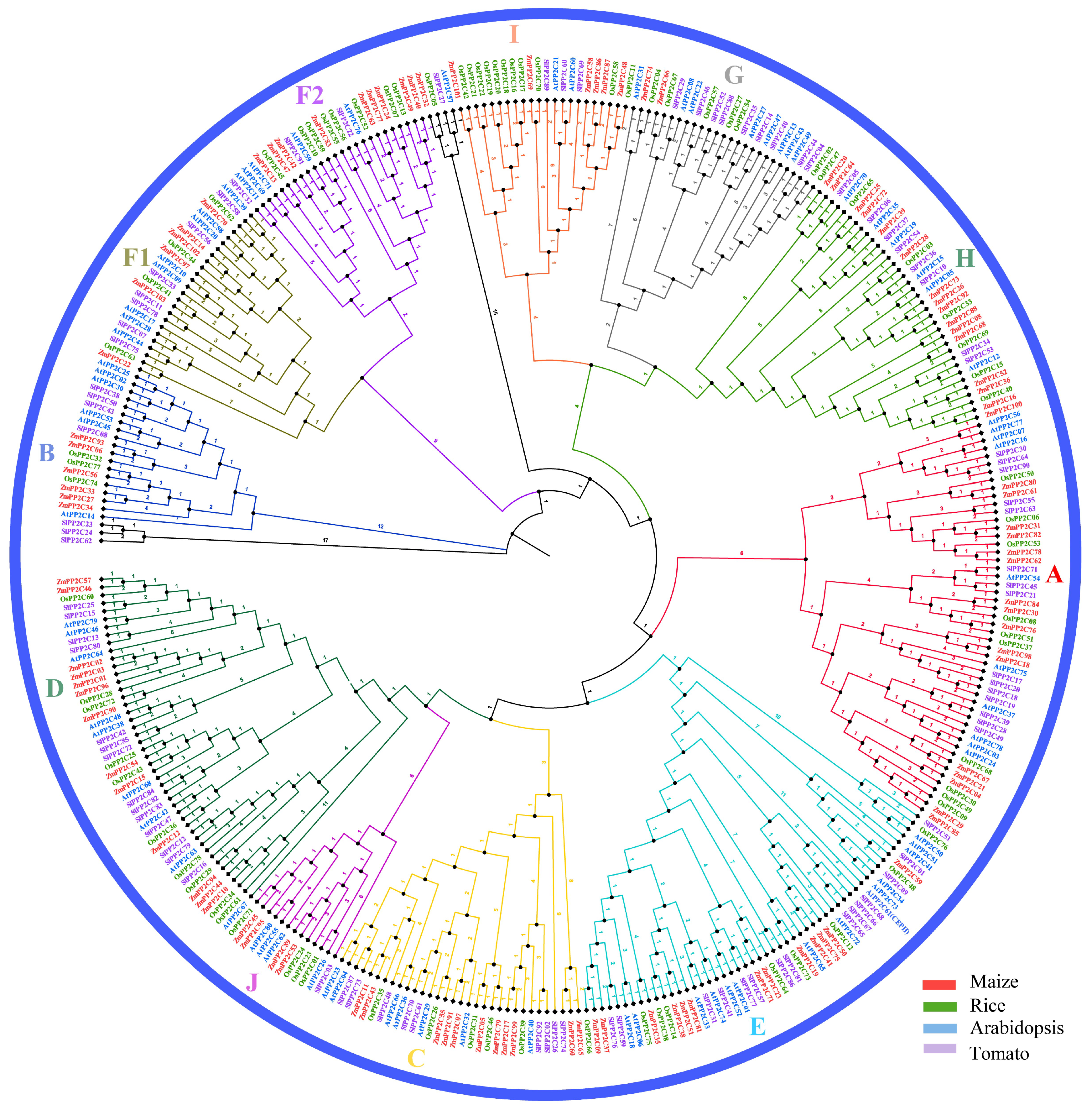Plants 12 03153 g001