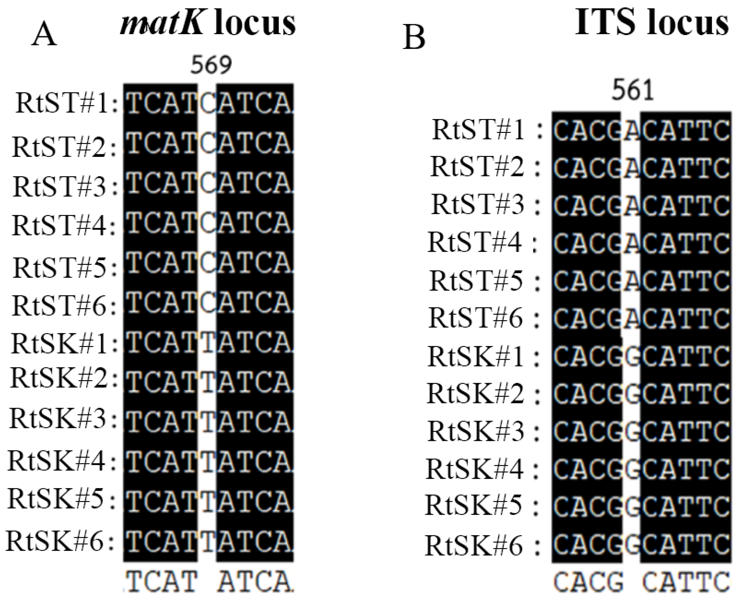 Plants 12 03156 g001