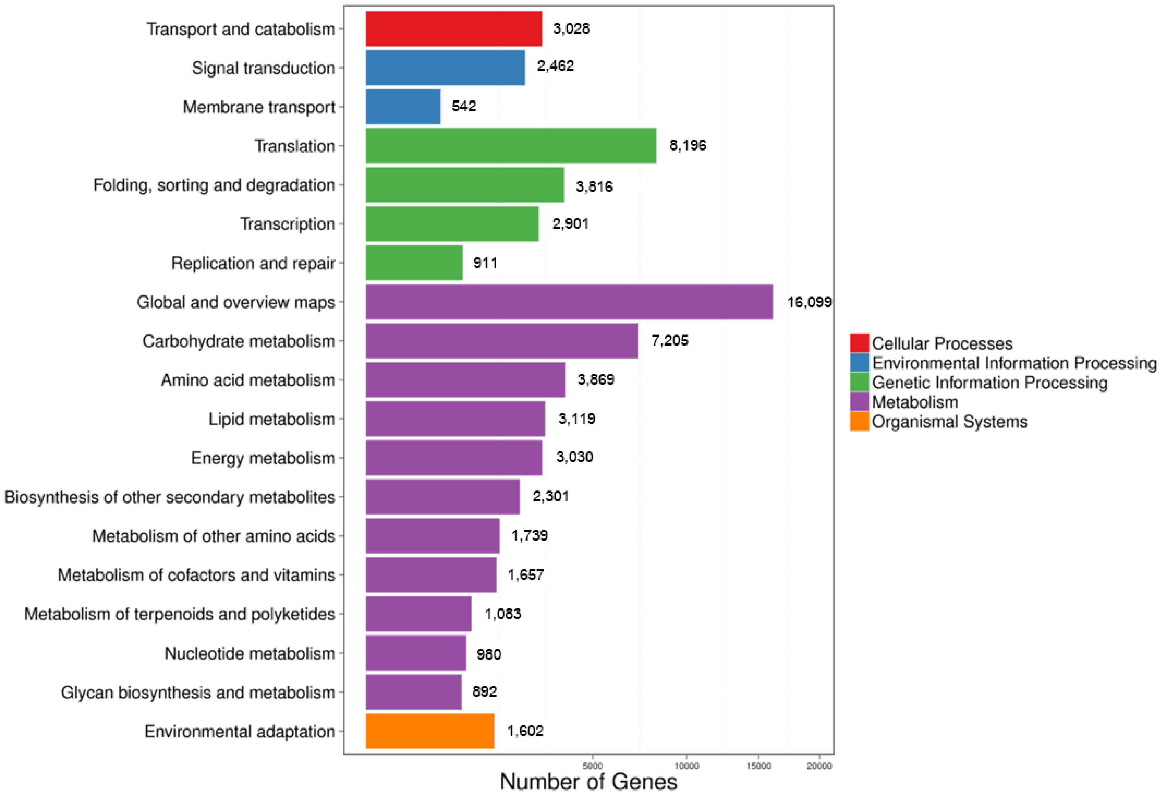 Plants 12 03156 g010