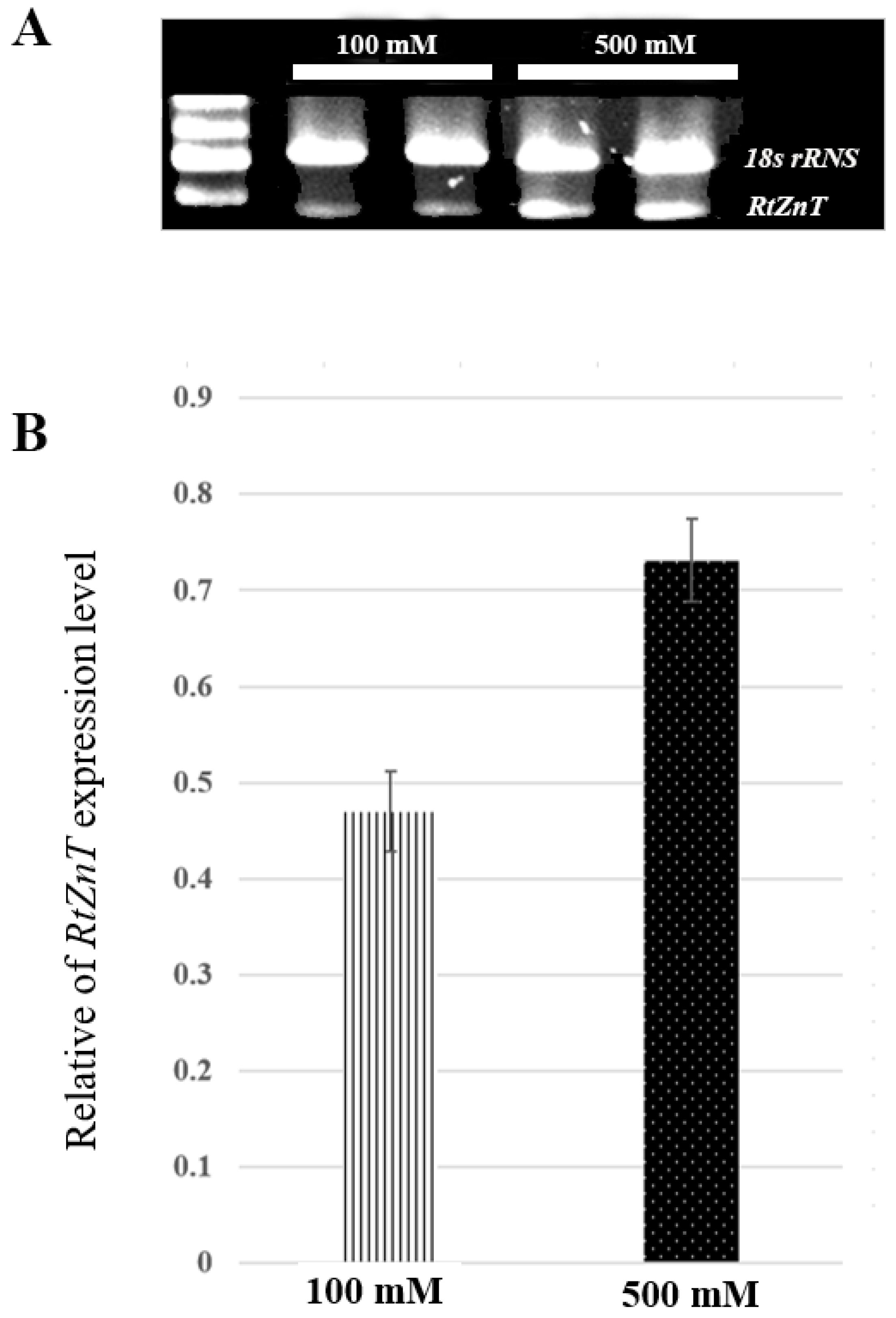 Plants 12 03156 g017