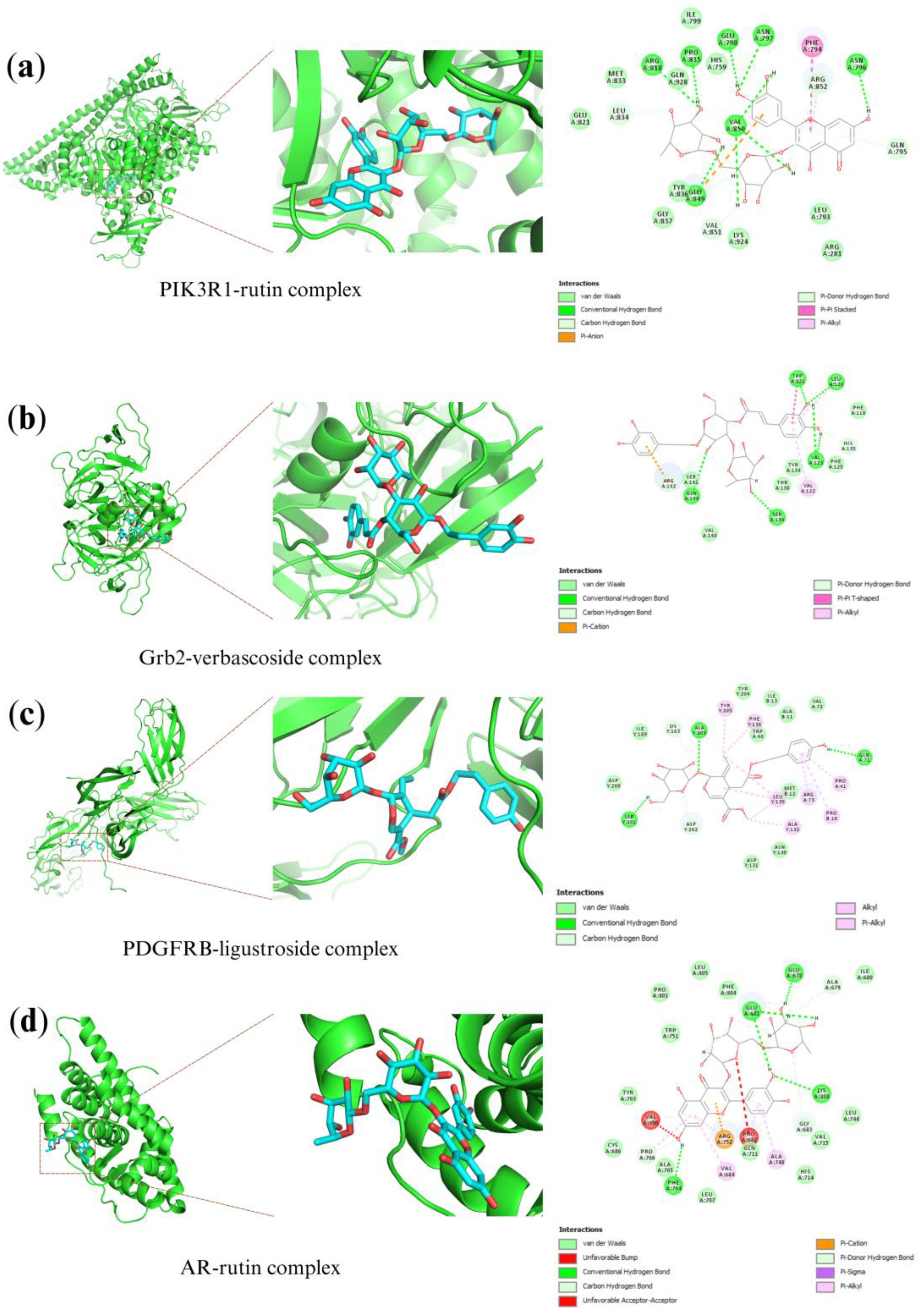 Plants 12 03168 g005