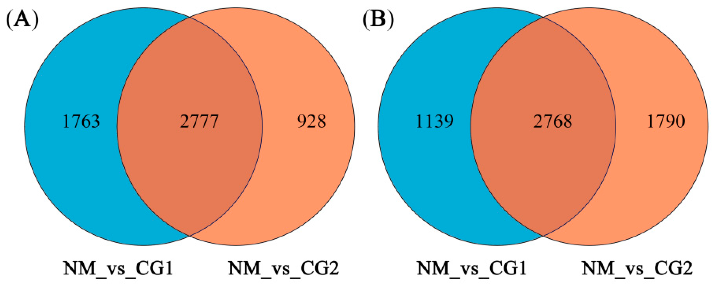 Plants 12 03179 g008