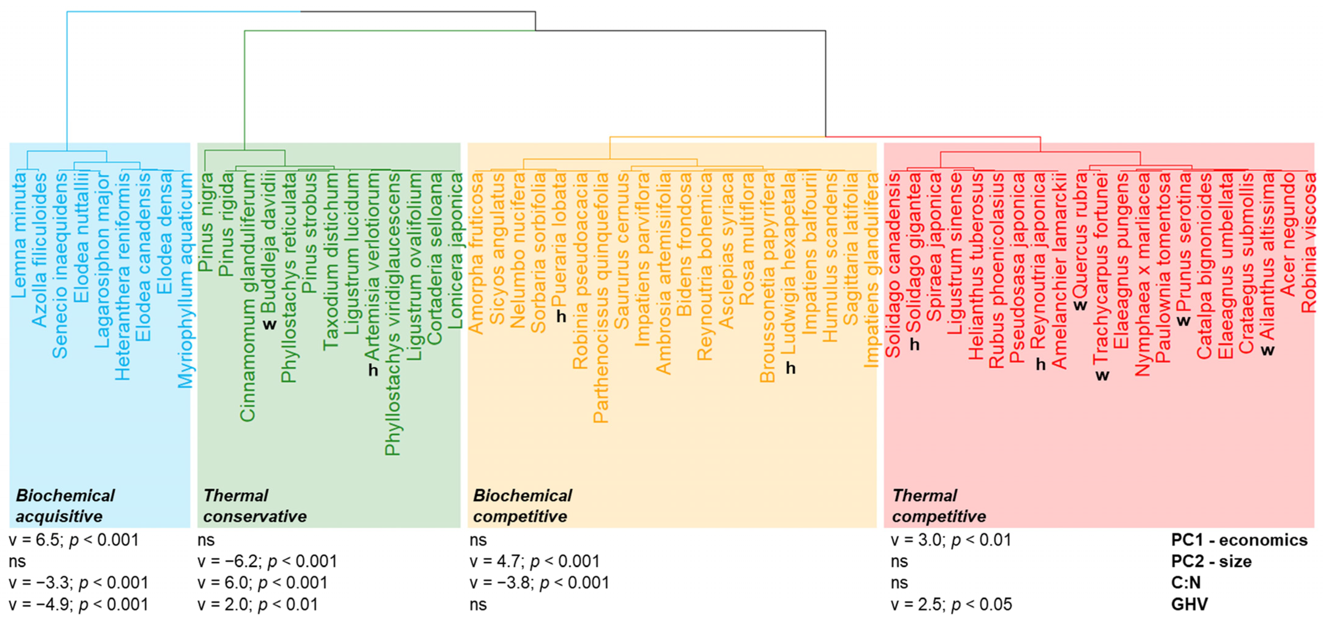 Plants 12 03198 g002