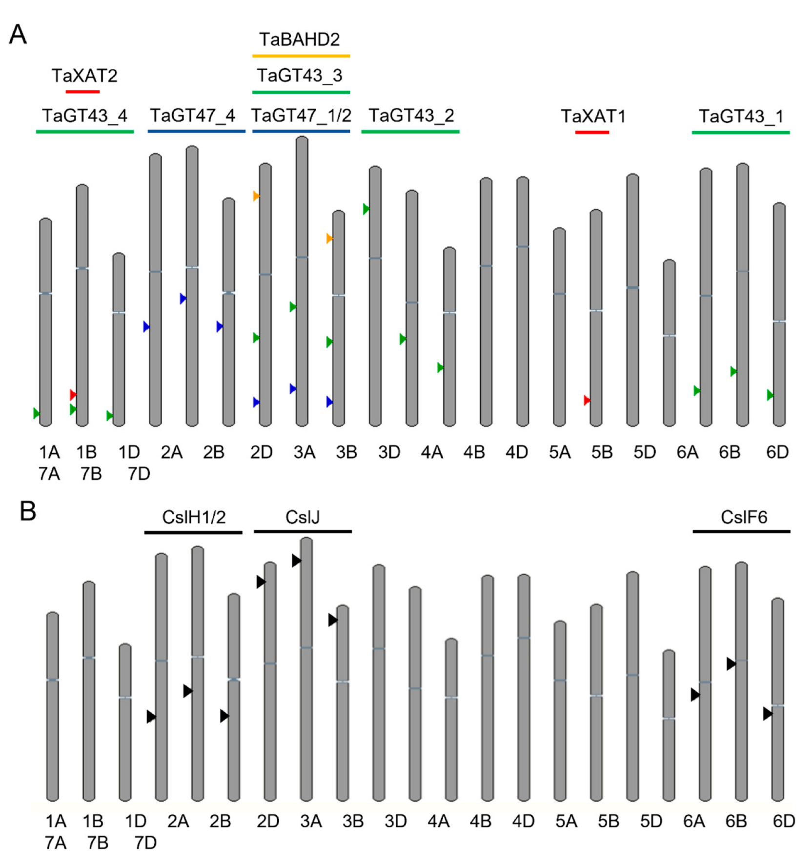 Plants 12 03216 g002
