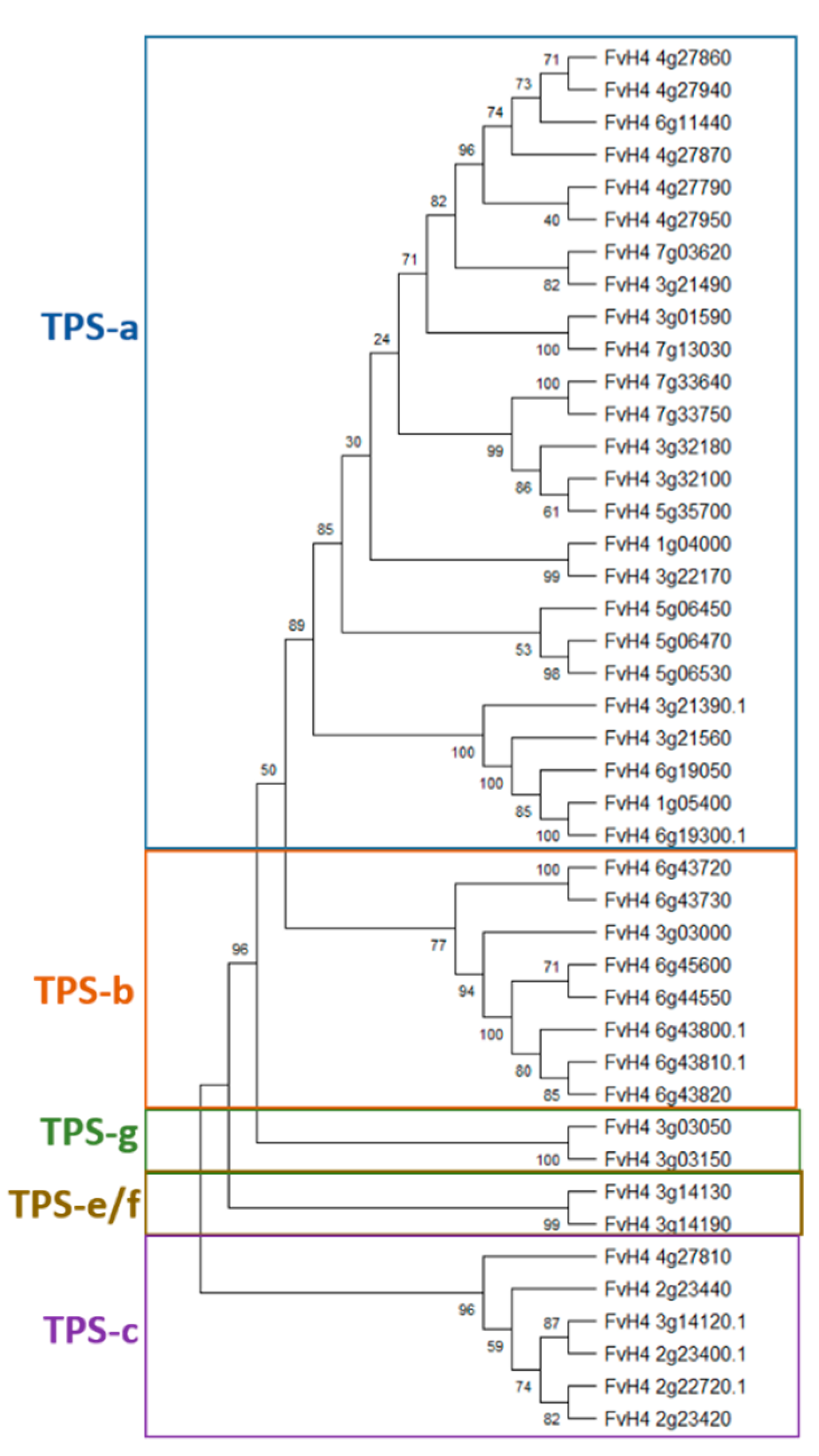 Plants Free Full Text Secondary Metabolites and Their Role in