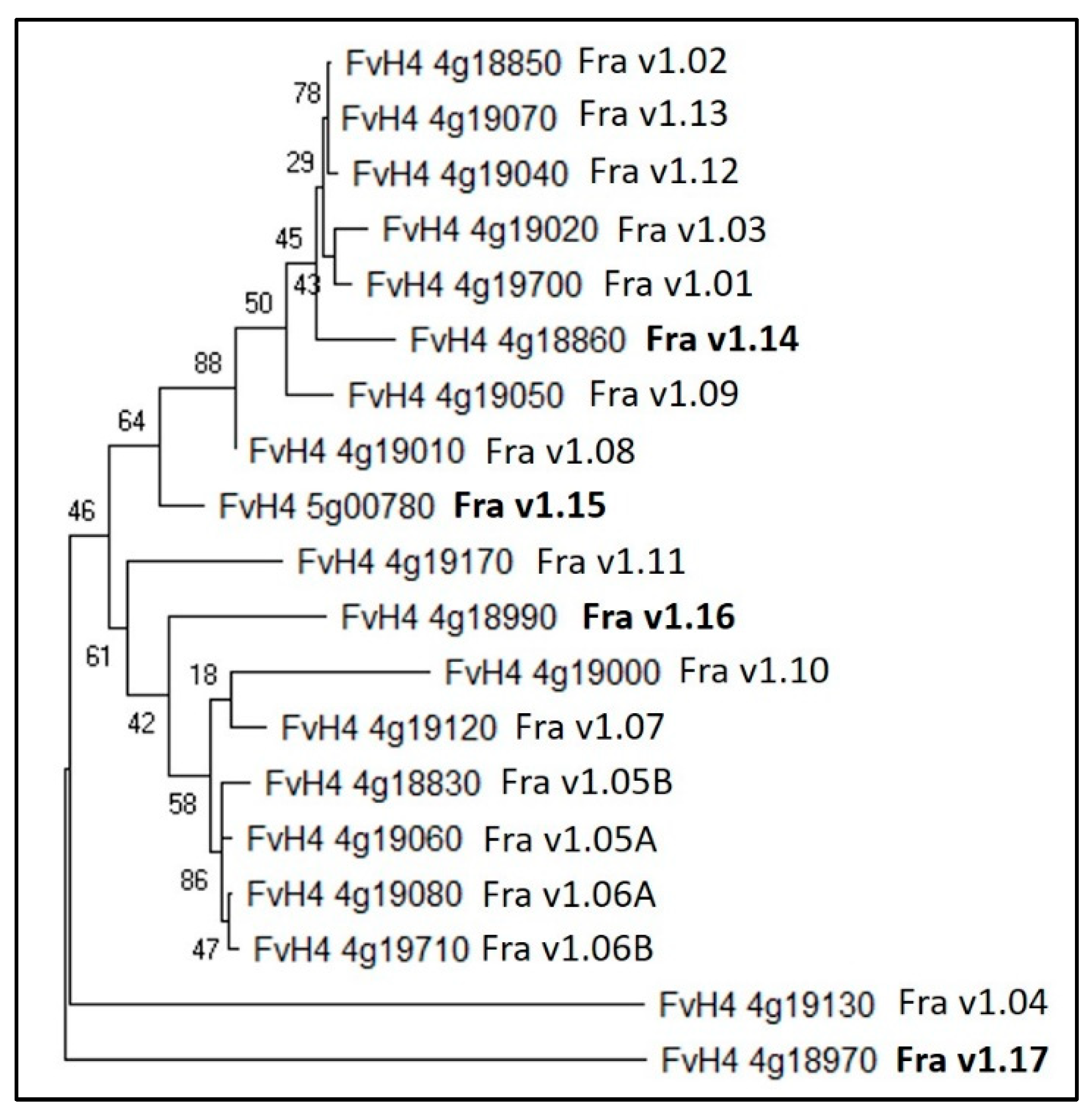 Plants 12 03240 g002 Plants 12 03240 g002