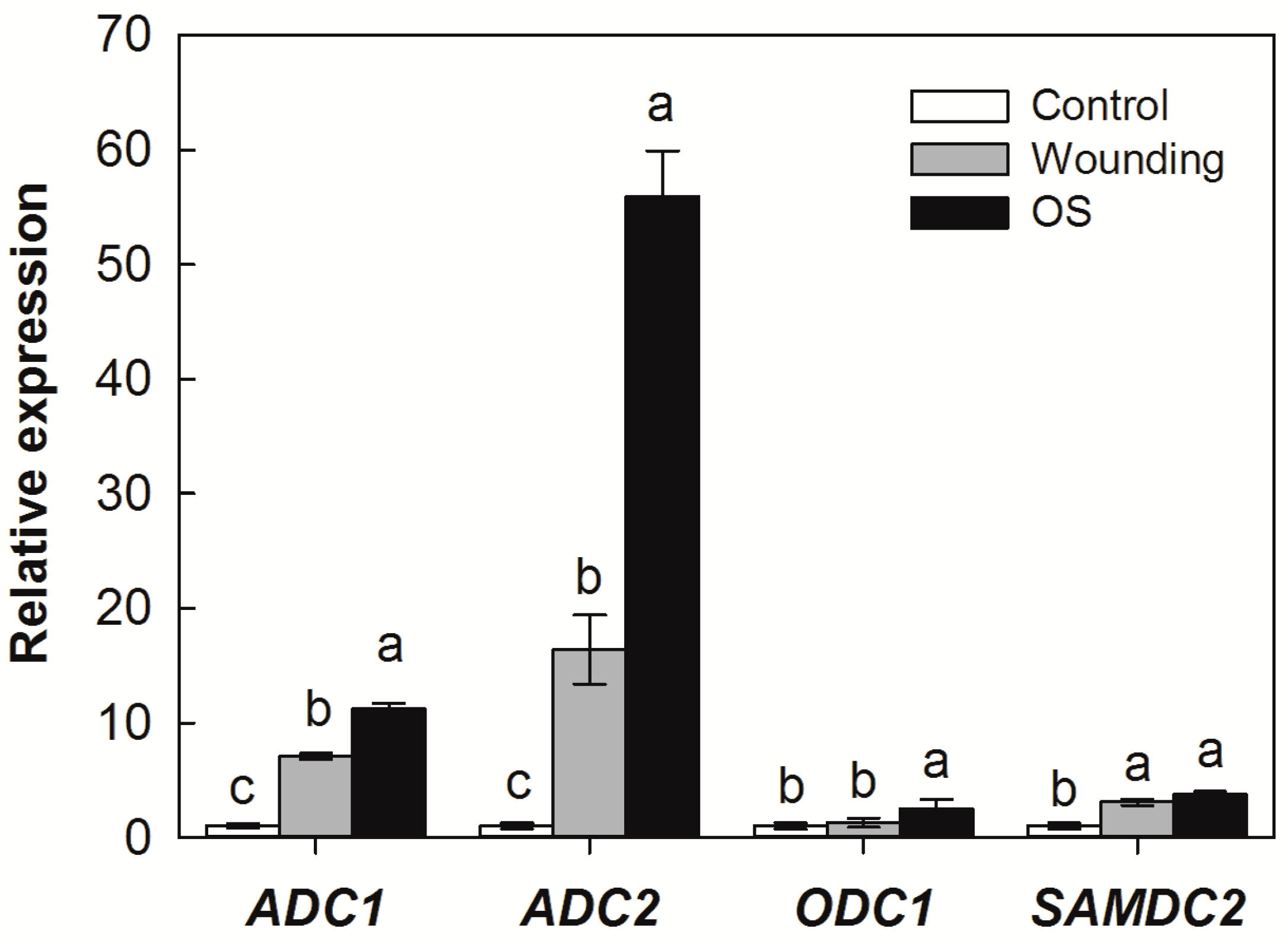 Plants 12 03249 g003