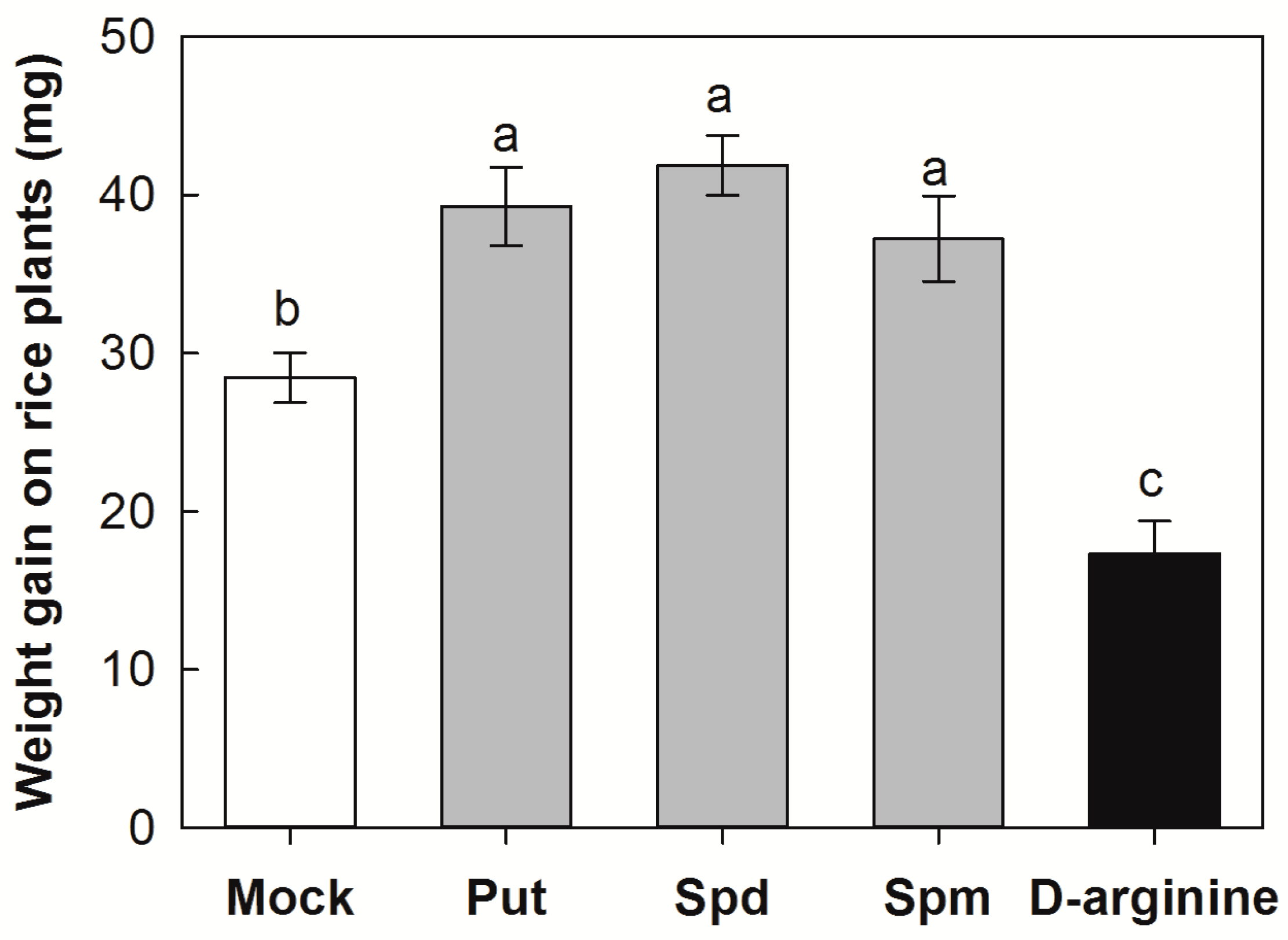 Plants 12 03249 g004