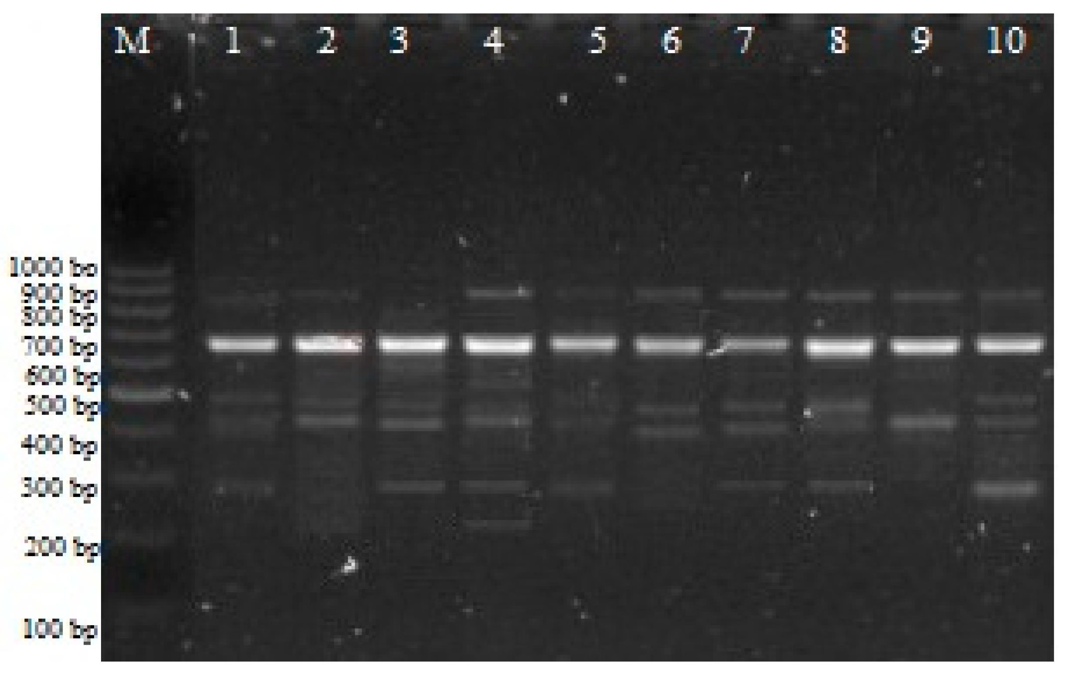 Plants 12 03261 g001