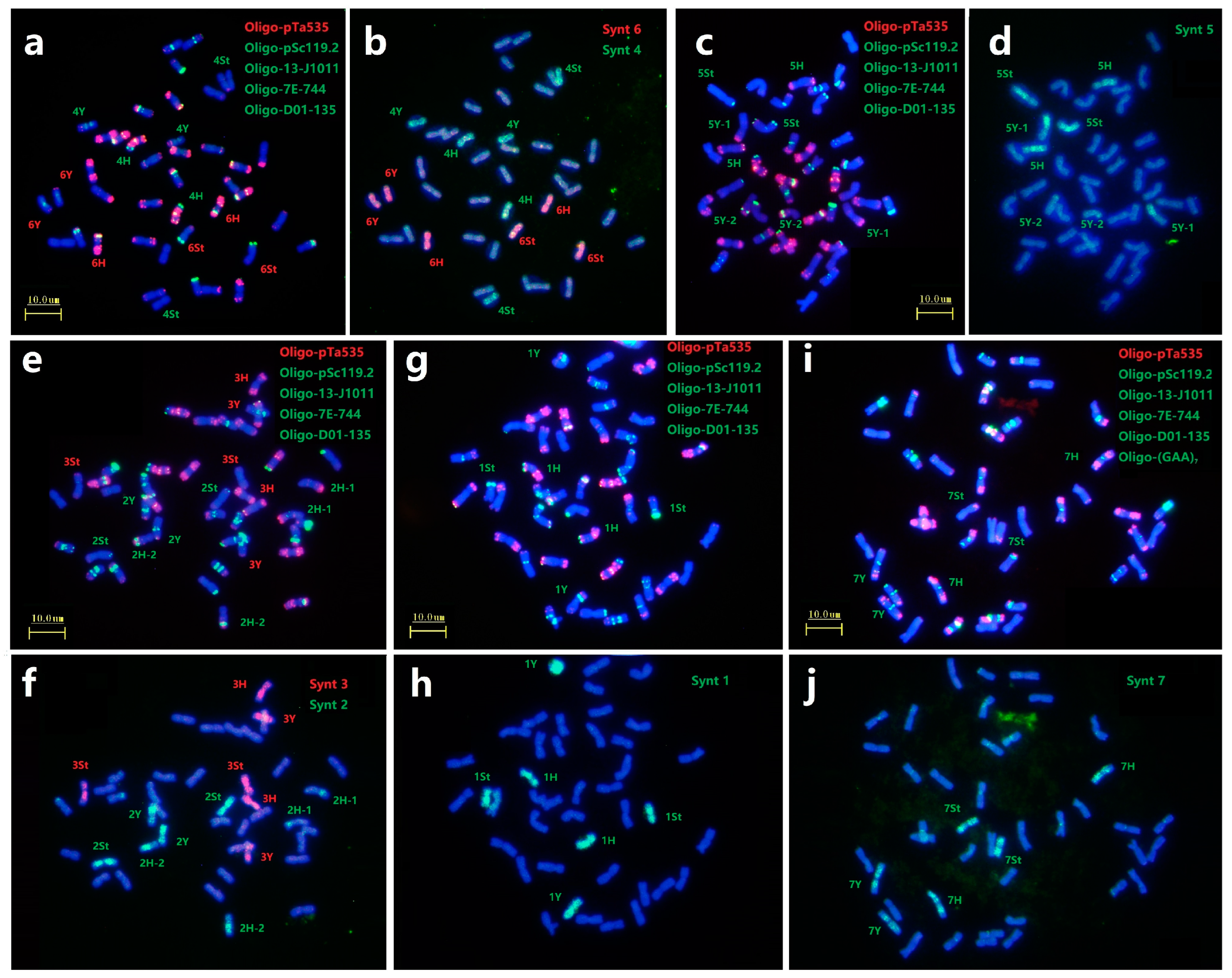 Plants 12 03268 g003