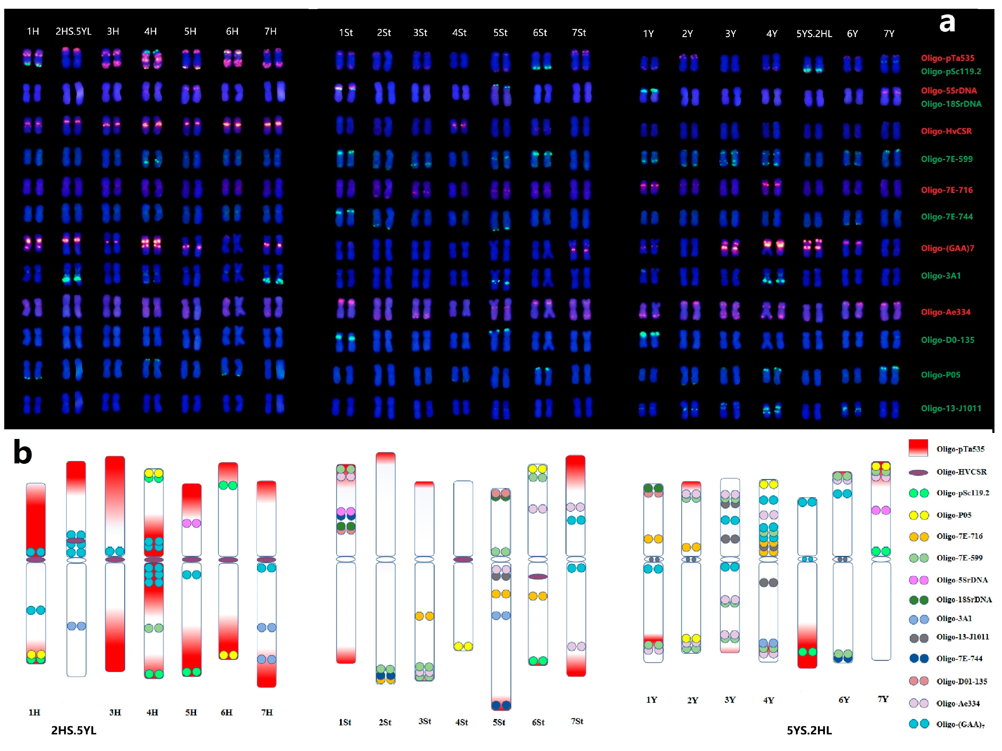 Plants 12 03268 g005