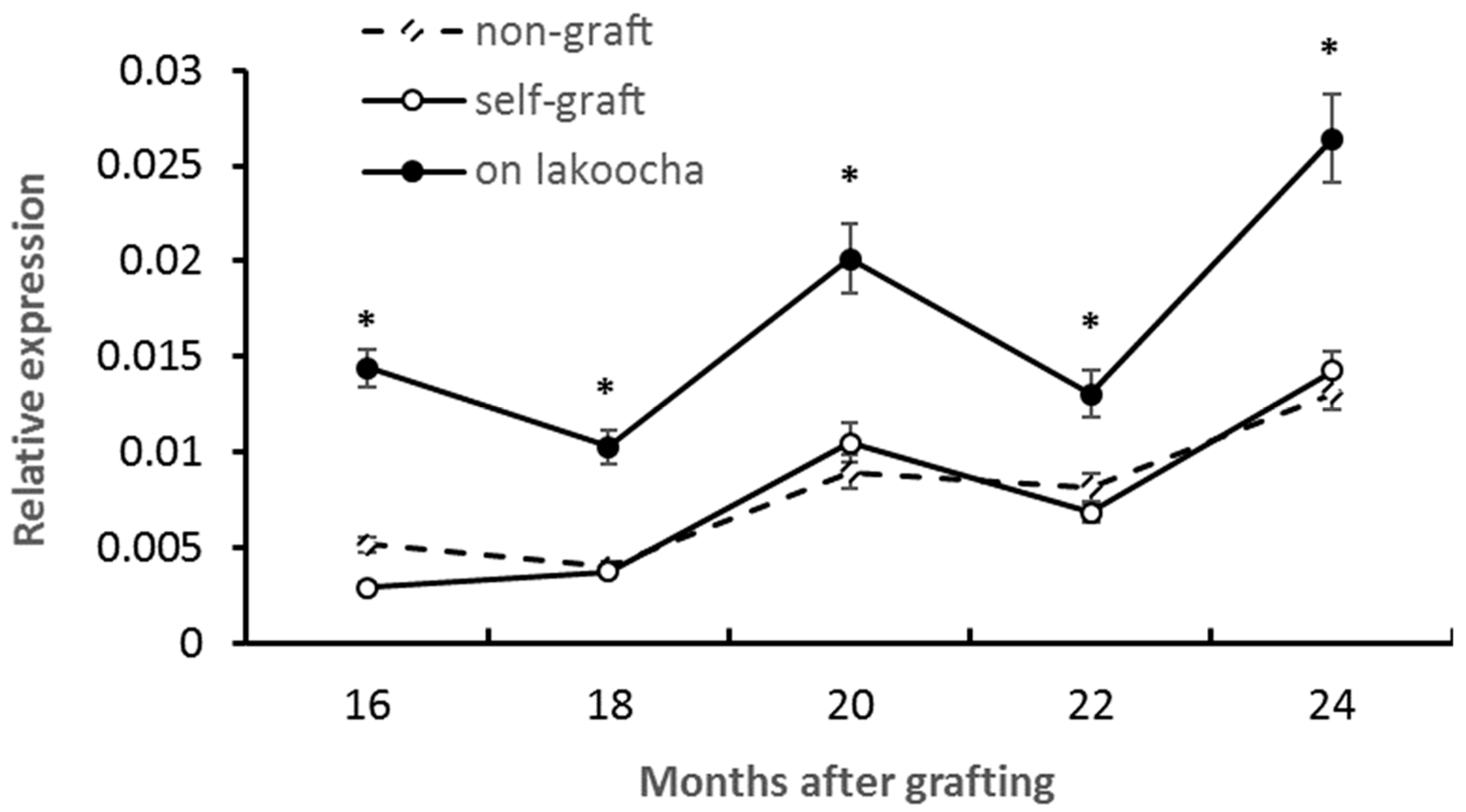 Plants 12 03285 g004