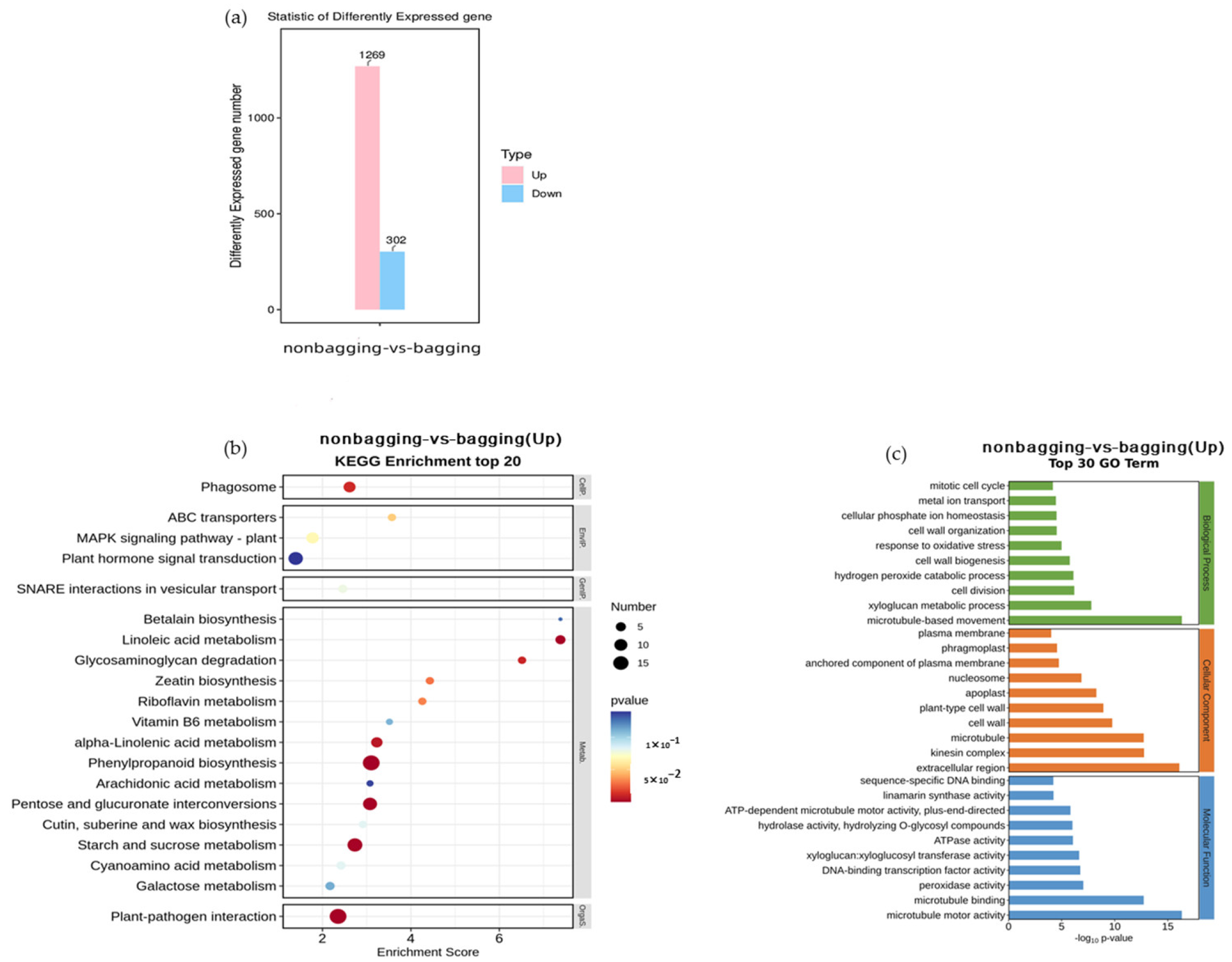 Plants 12 03309 g012