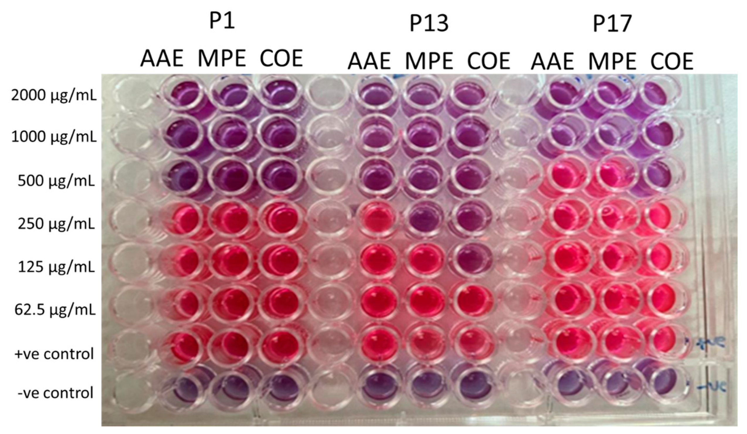 Plants 12 03324 g002