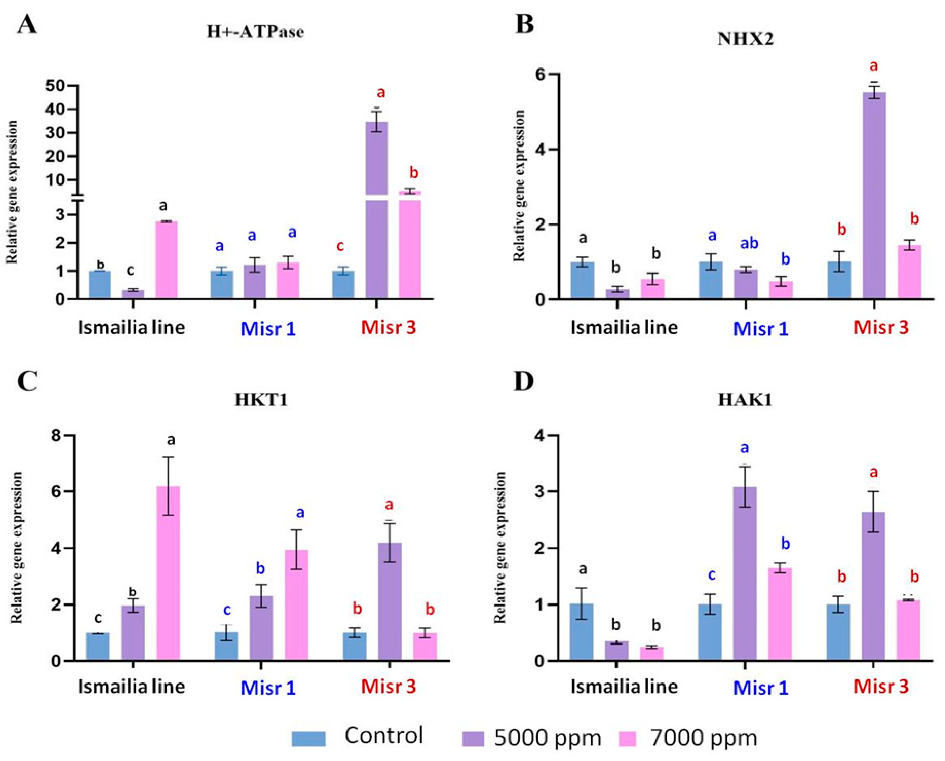 Plants 12 03330 g003